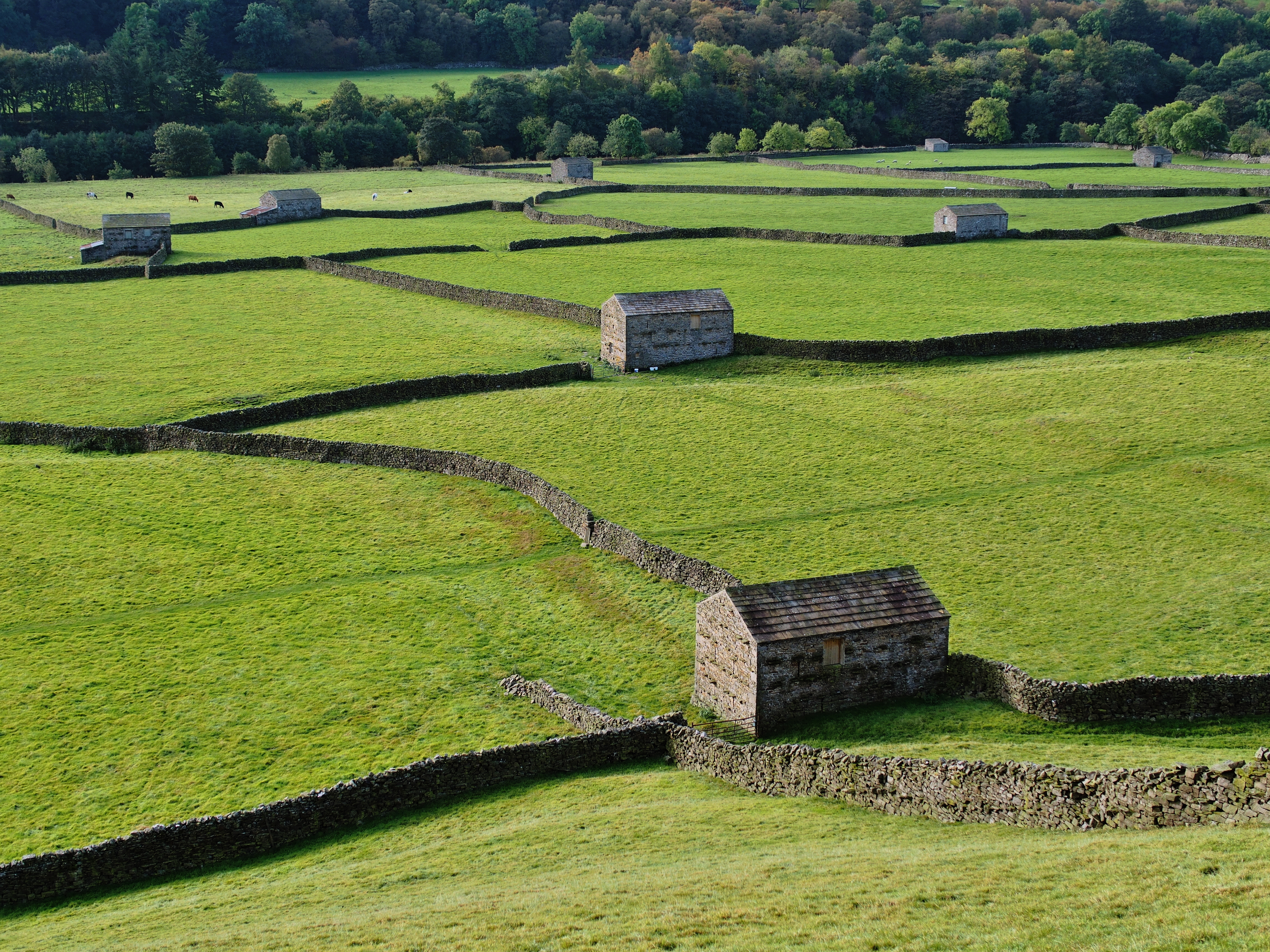 2014 Fields Swaledale Gunnerside