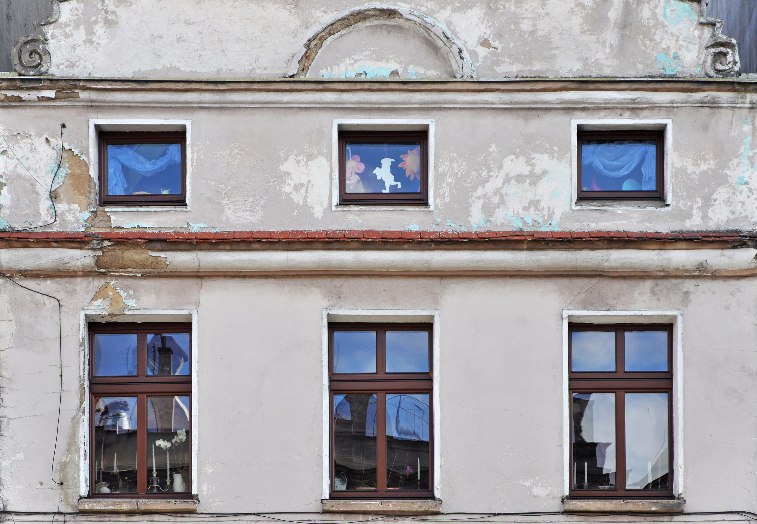 2014 Paczków, Rynek 25 03