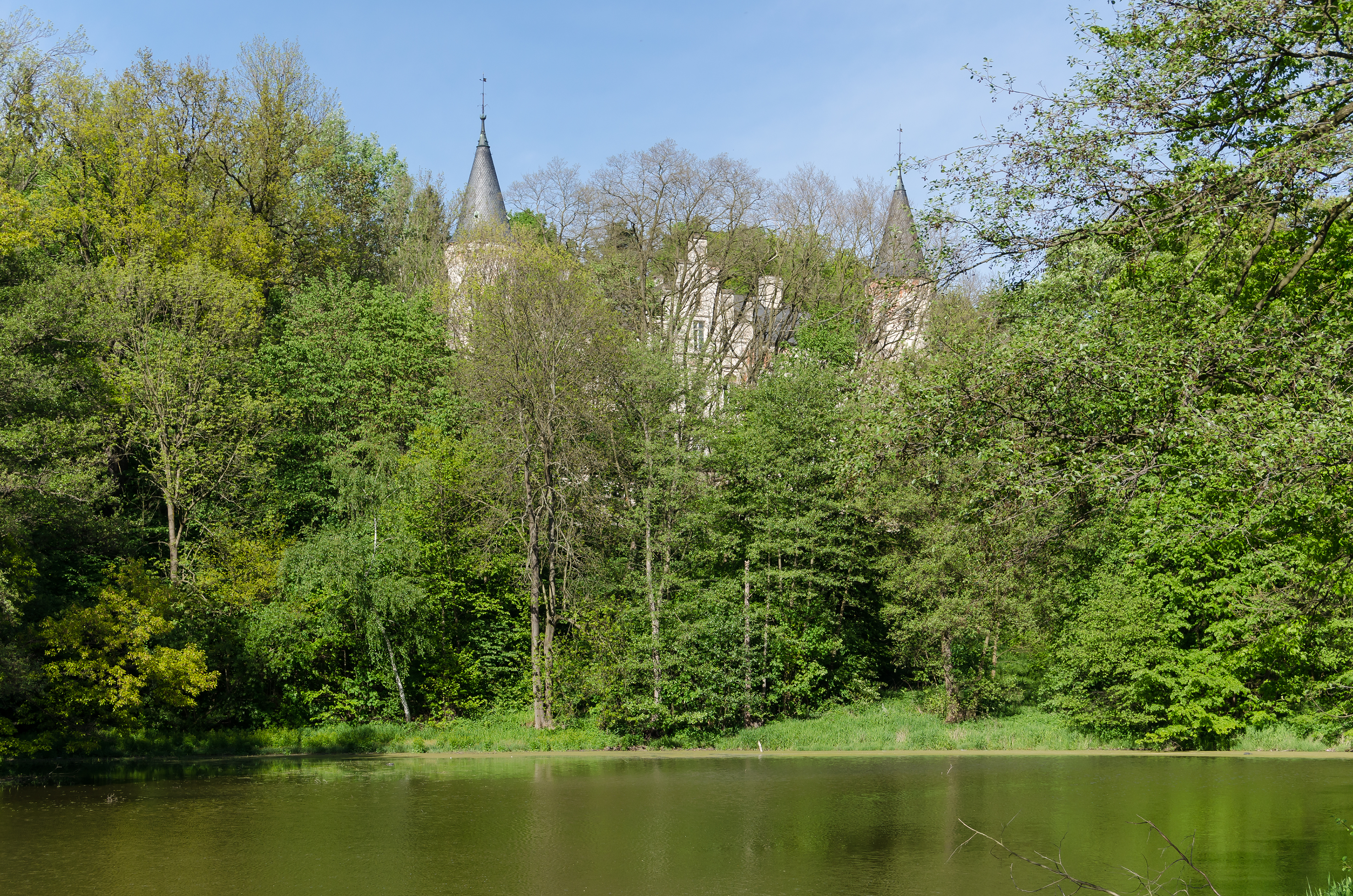 2014 Park w Szalejowie Dolnym
