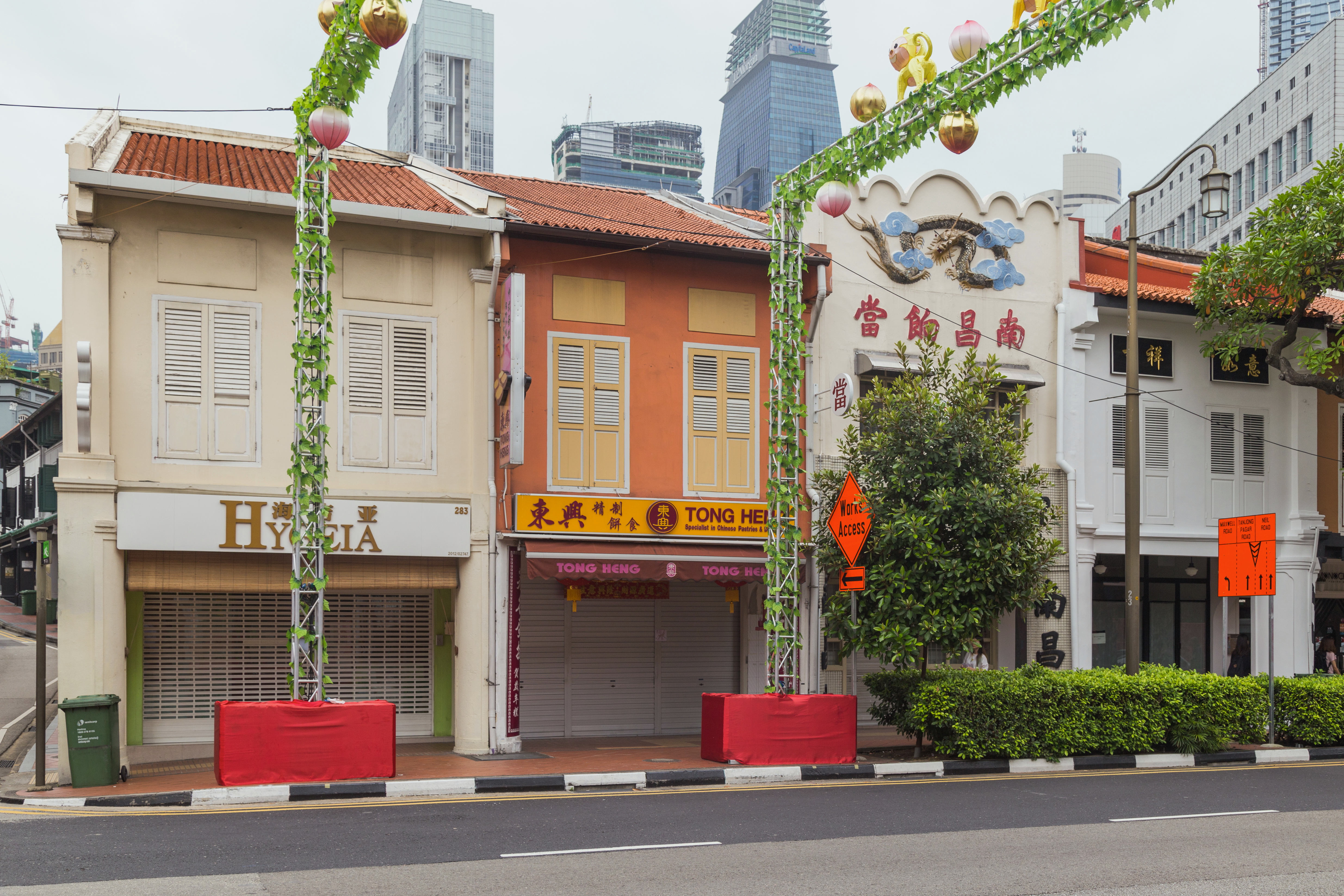 2016 Singapur, Chinatown, Ulica South Bridge, Domy-sklepy (11)