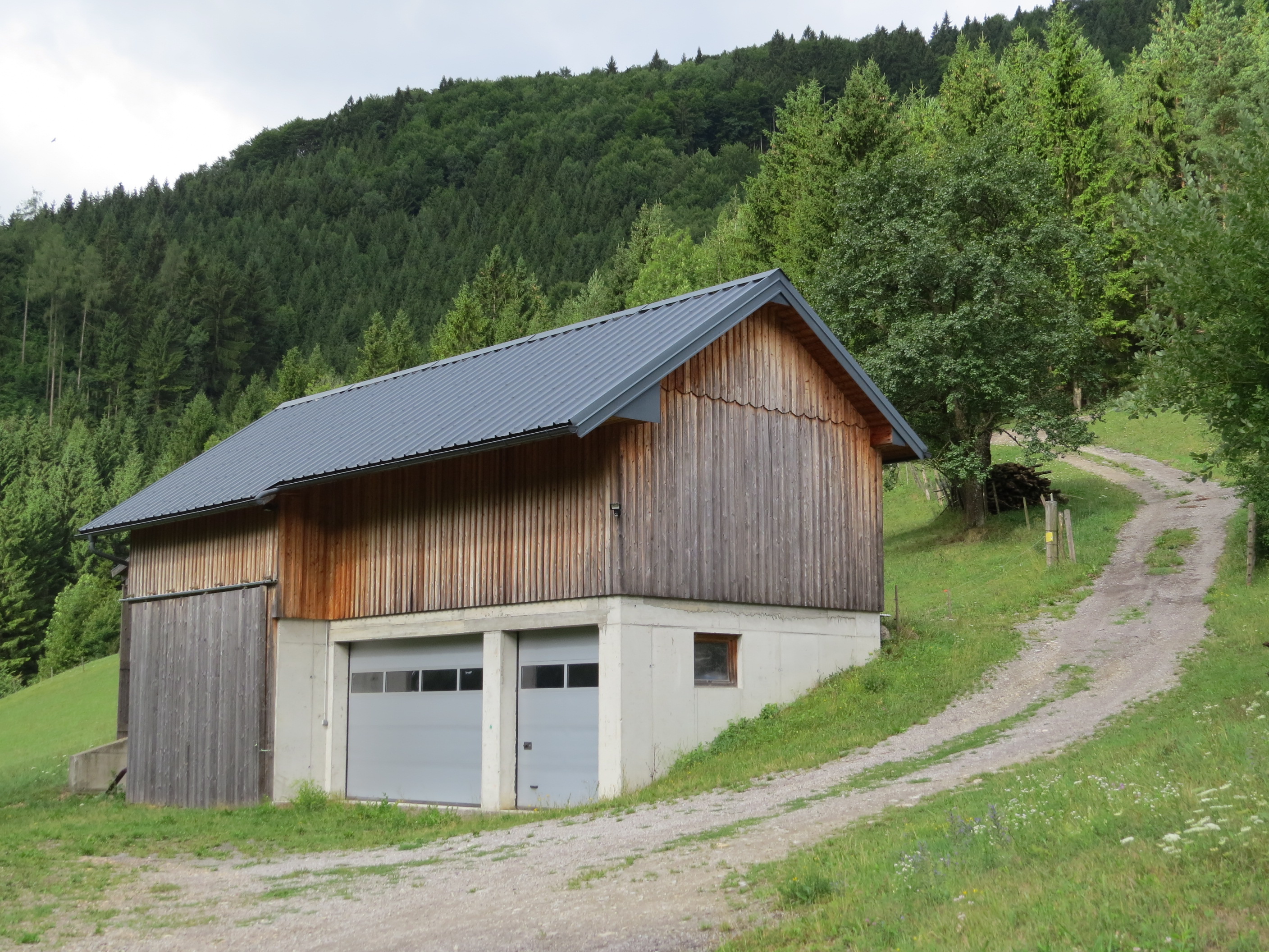 2017-07-28 Wanderung rund um den Haltgraben in Frankenfels (006)