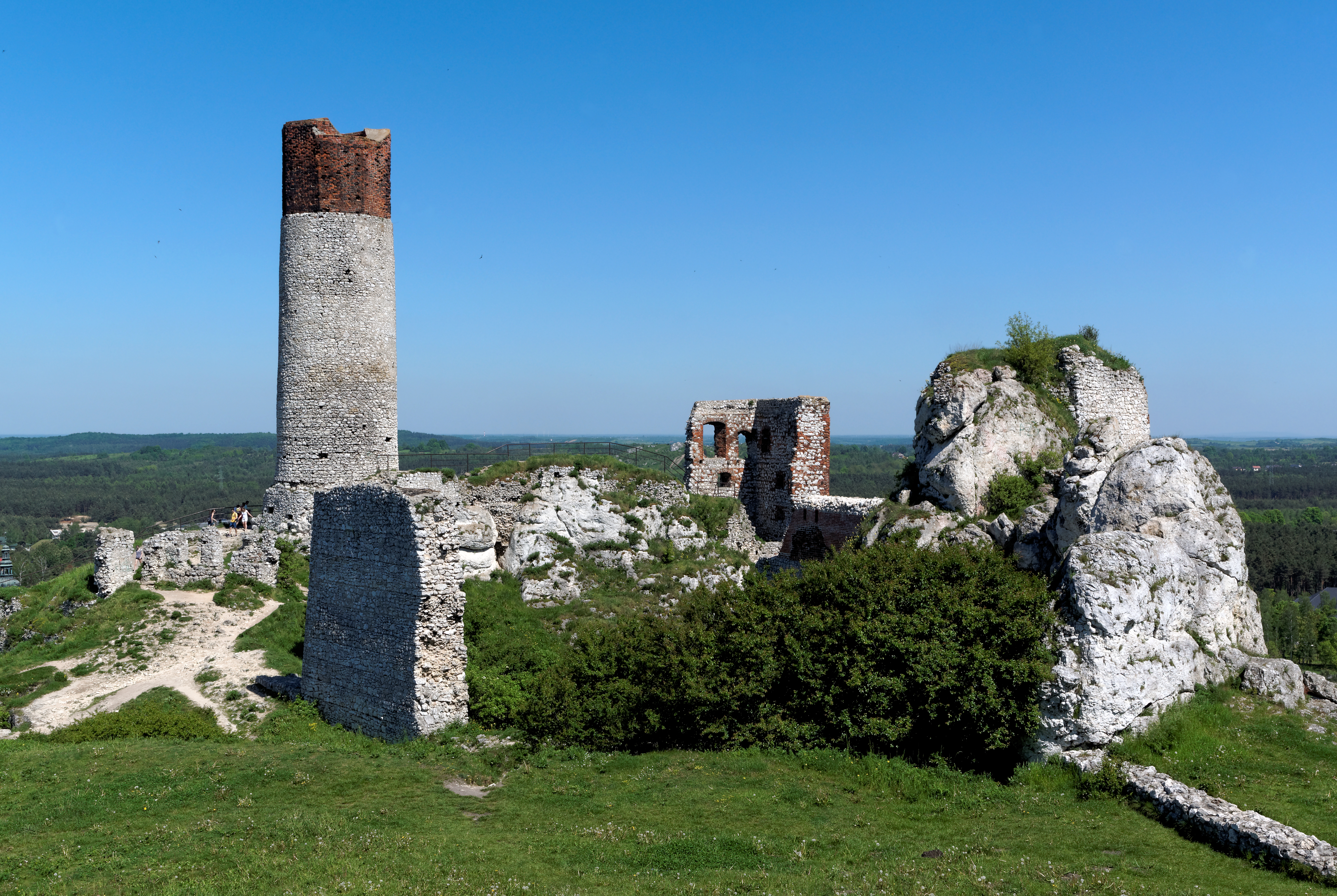 20170528 Zamek w Olsztynie 6782