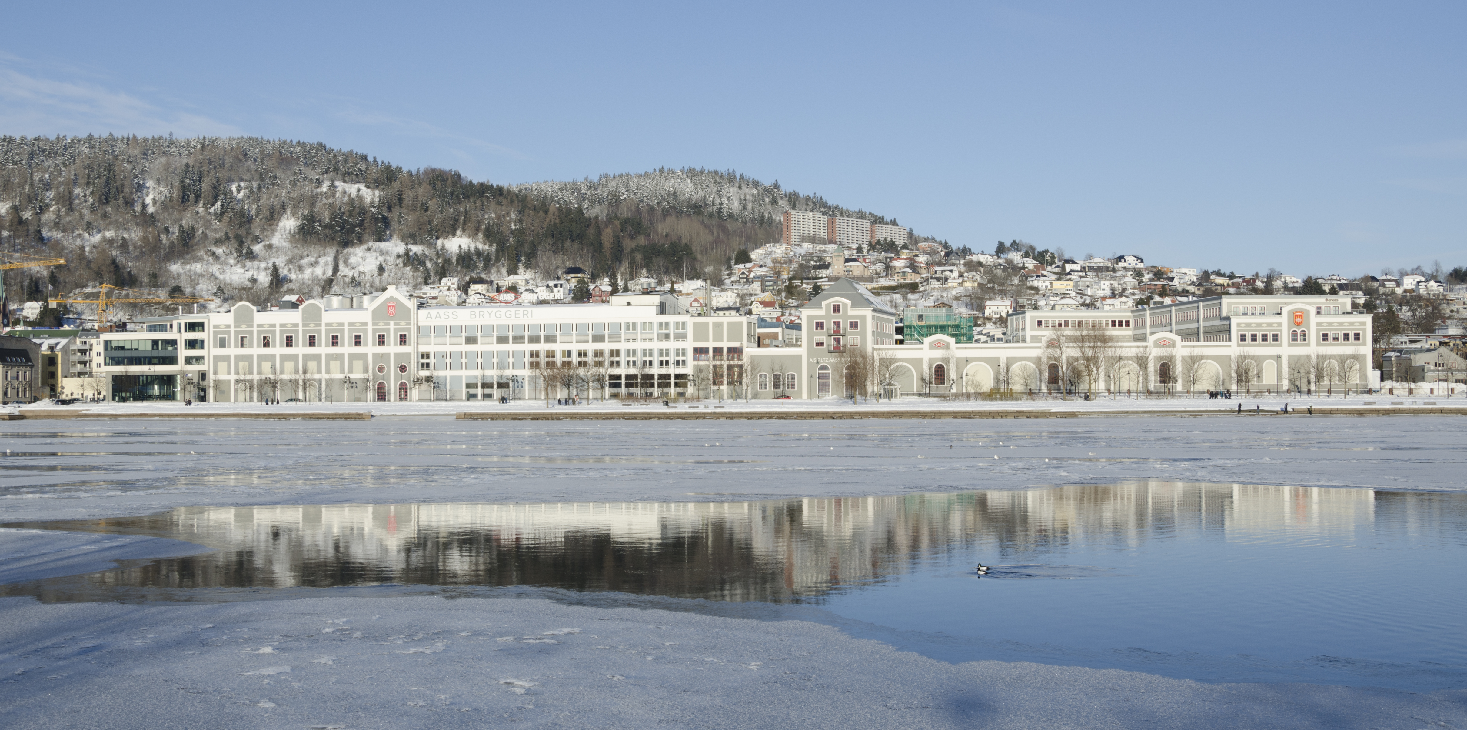 Aass bryggeri vinter 2018 (2)