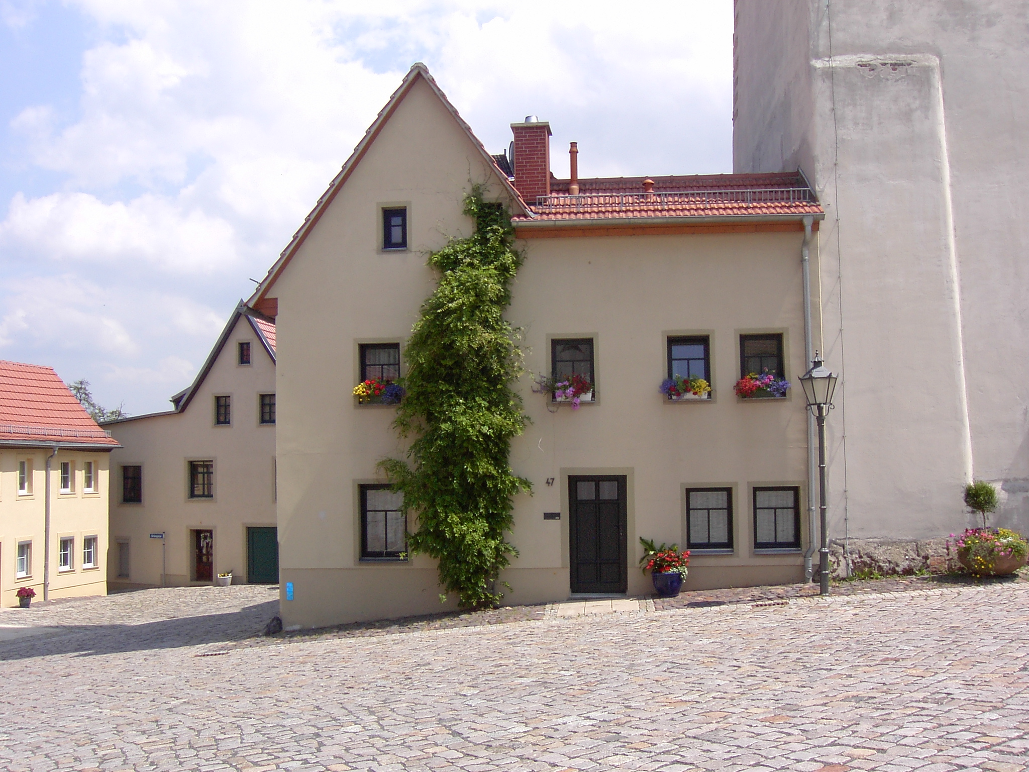 Altenburg - Nicolaikirchhof - panoramio (1)
