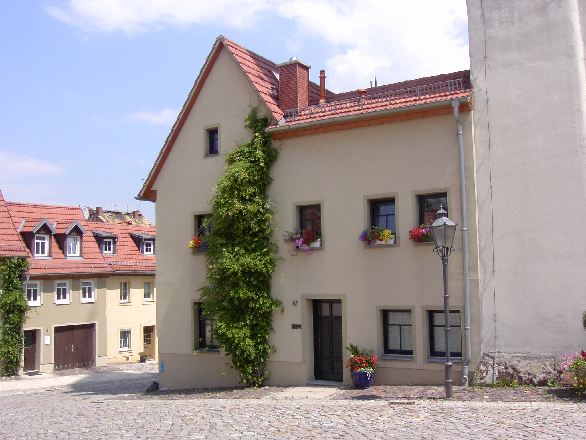 Altenburg Nicolaikirchhof - panoramio (1)