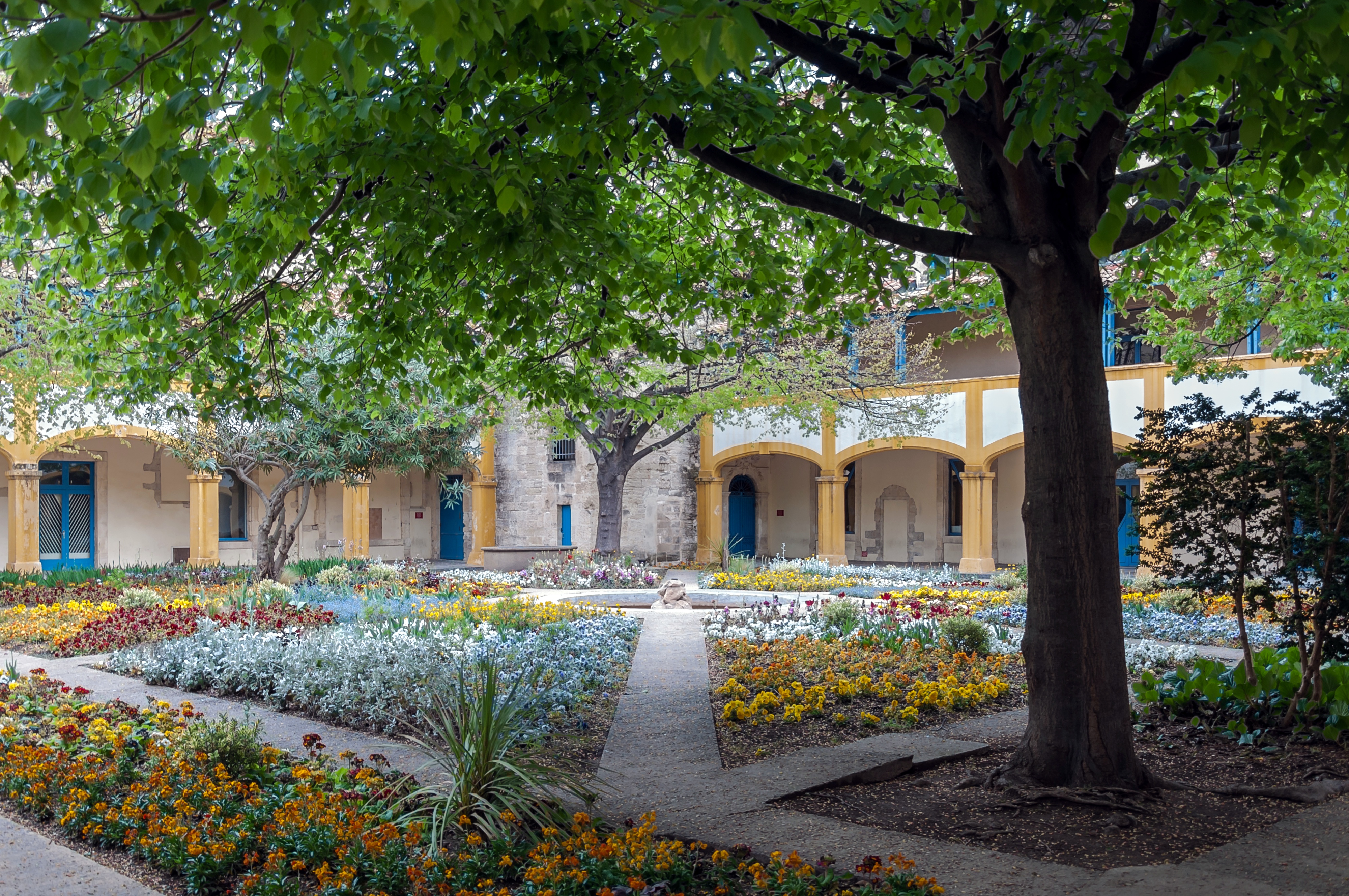 Arles Hotel Dieu garden