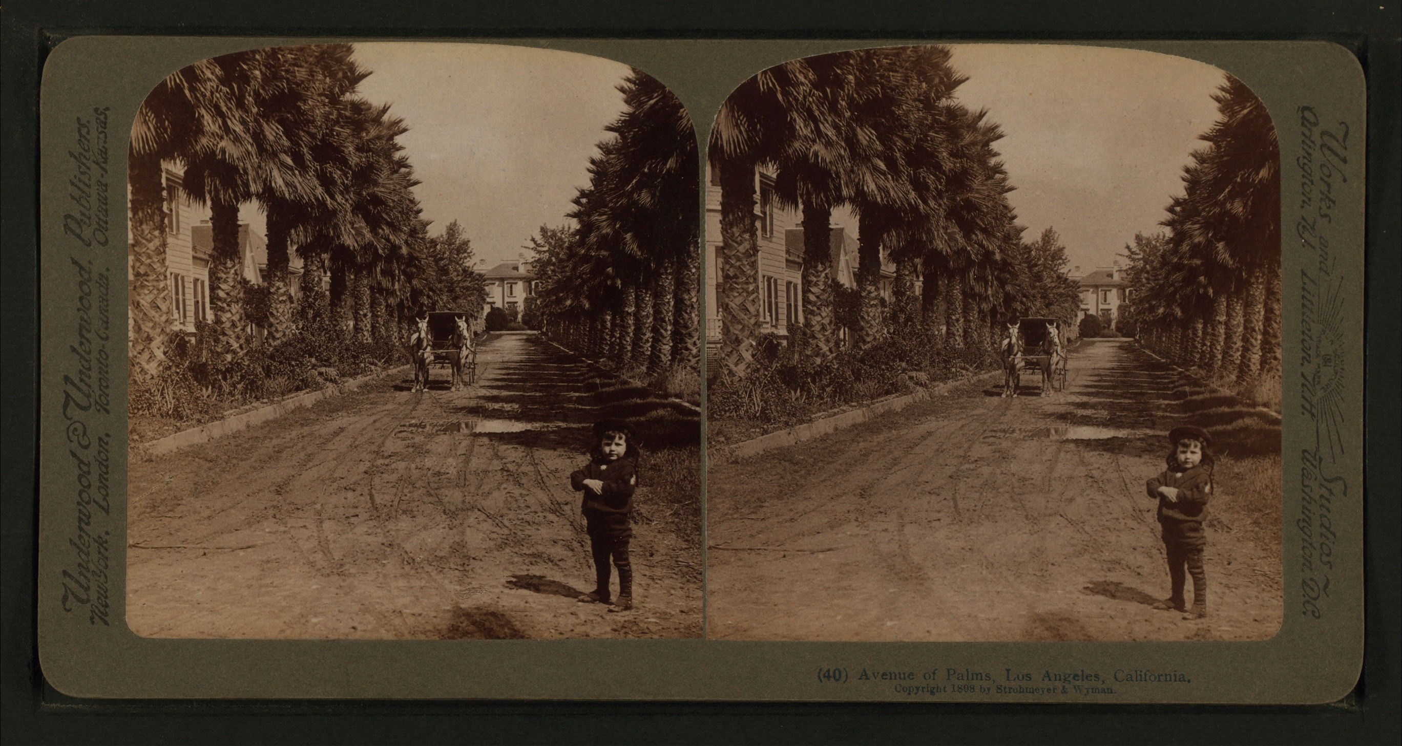 Avenue of Palms, Los Angeles, California, from Robert N. Dennis collection of stereoscopic views