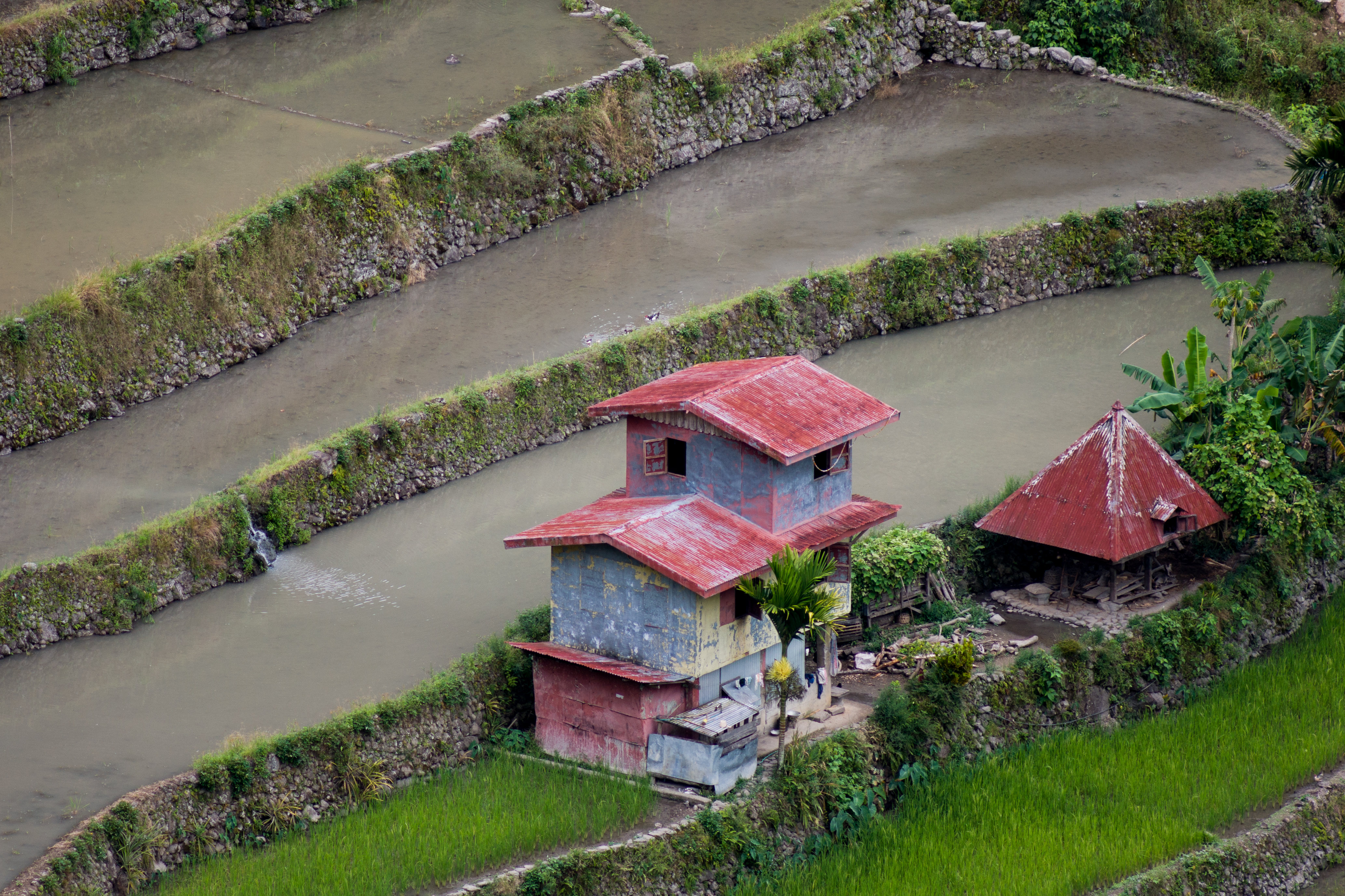 Banaue Philippines Batad-Rice-Terraces-03