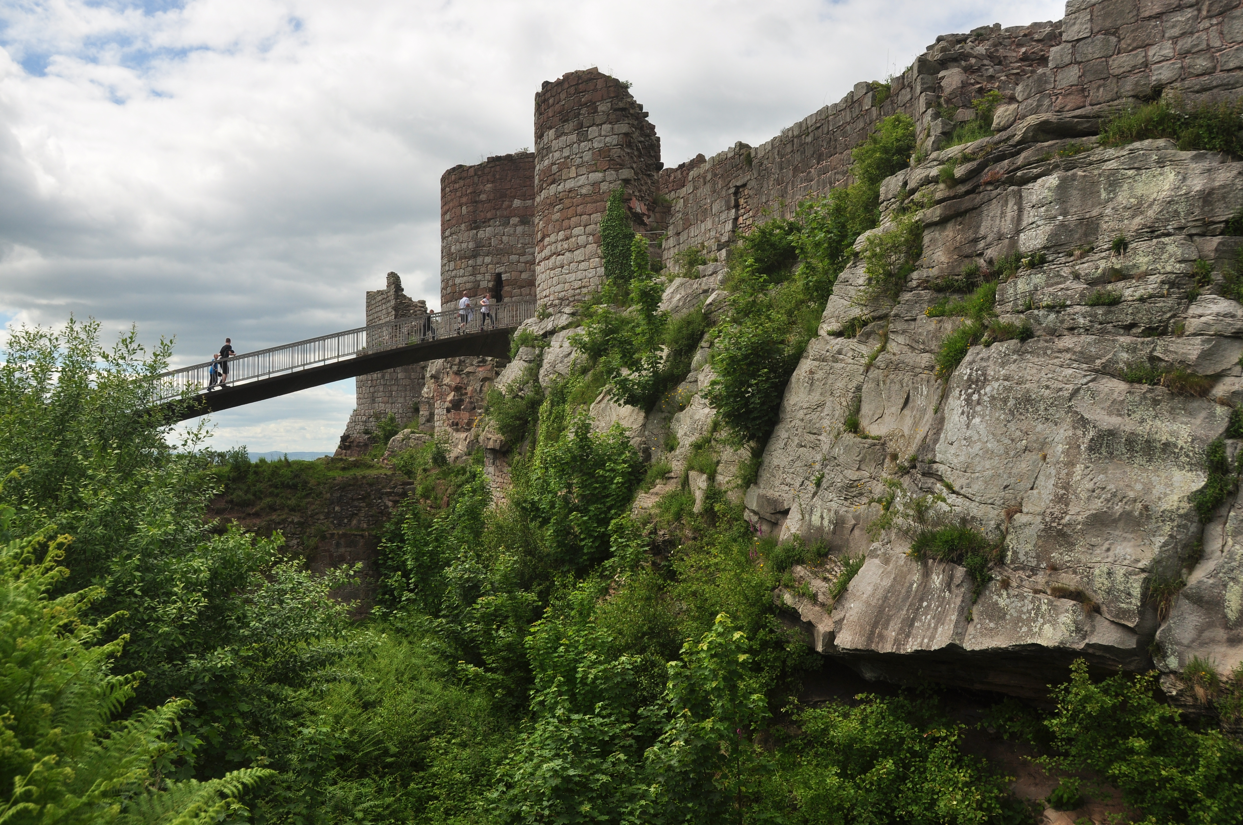 Beeston Castle (5369)