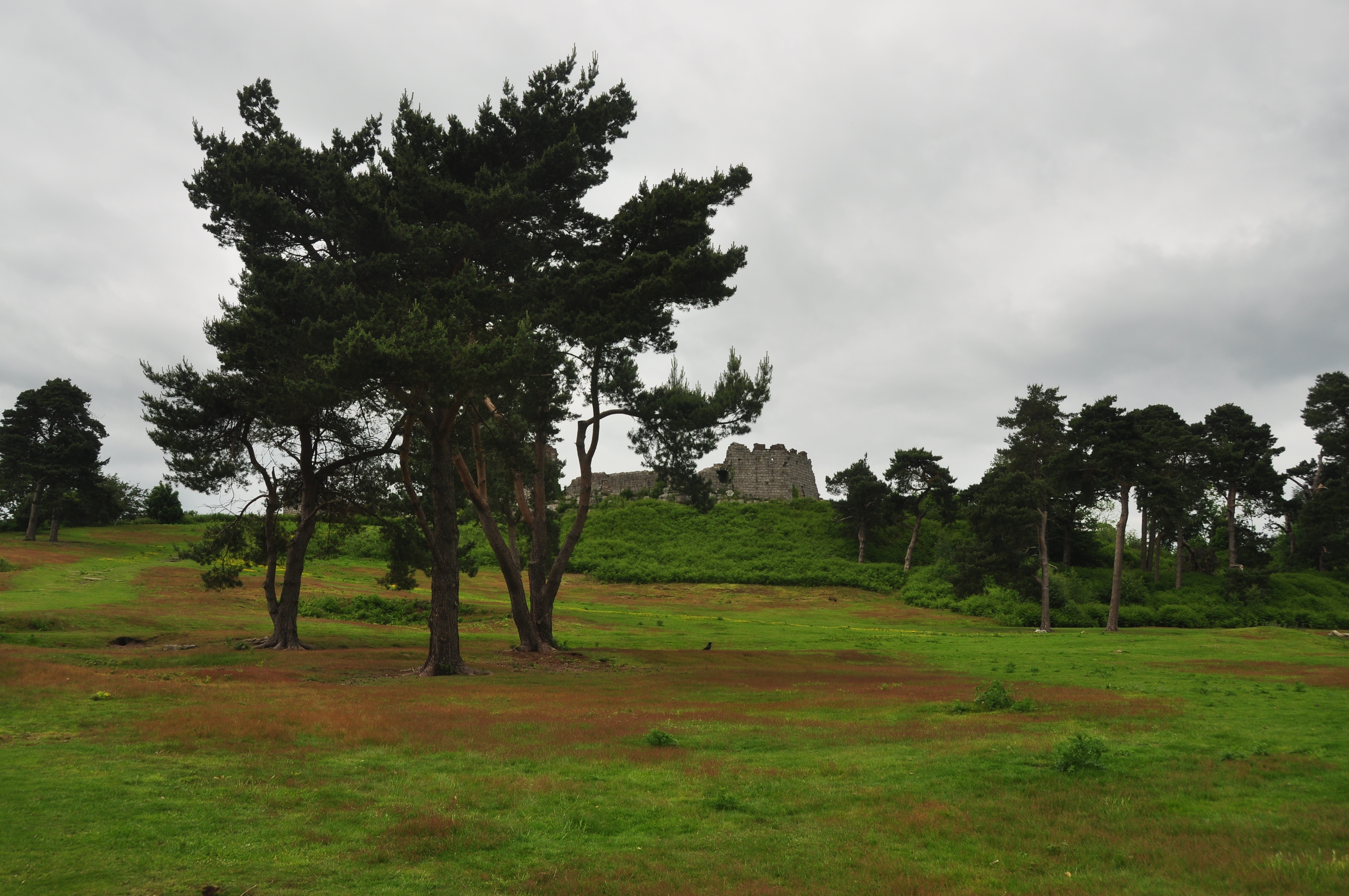 Beeston Castle outer ward (5308)
