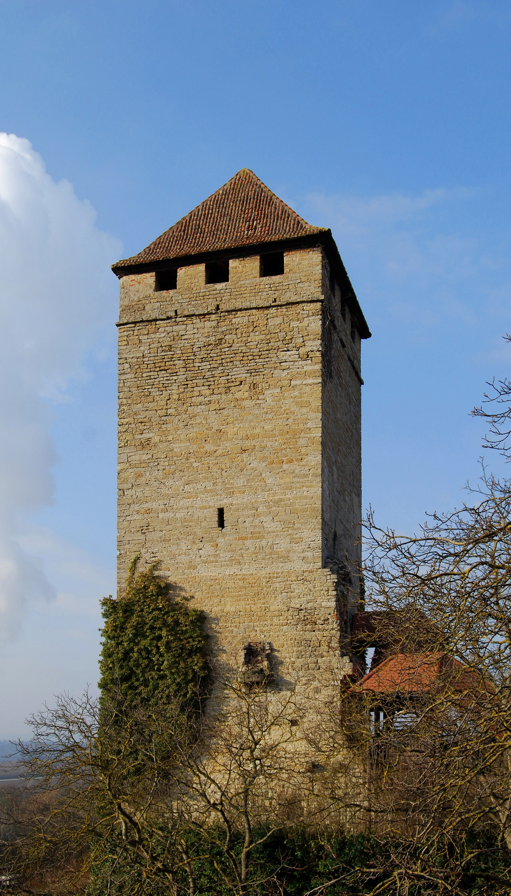 Bergfried Liebenstein 2011-2