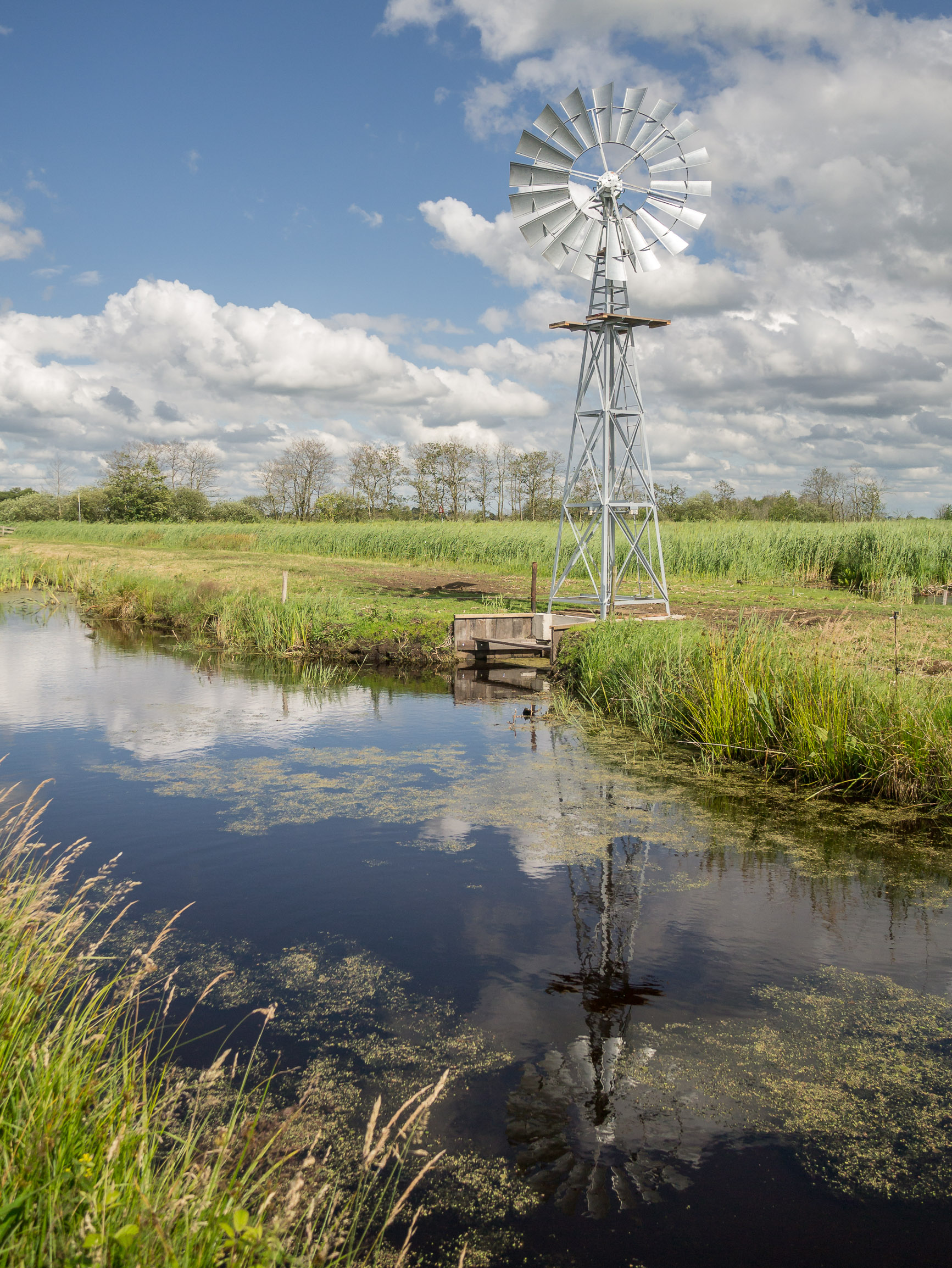 Bosmanmolentje in de Alde Feanen