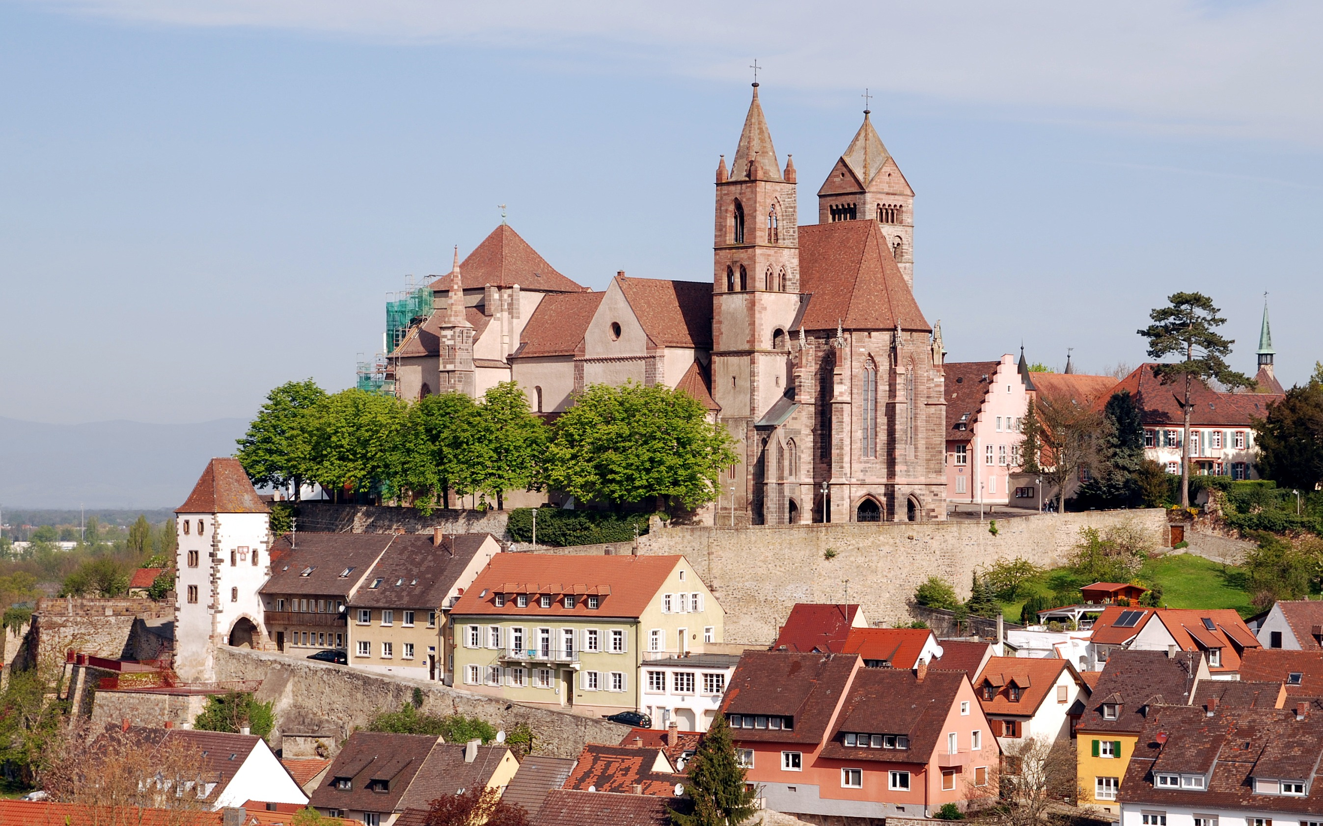 Breisacher Munster Gesamtansicht