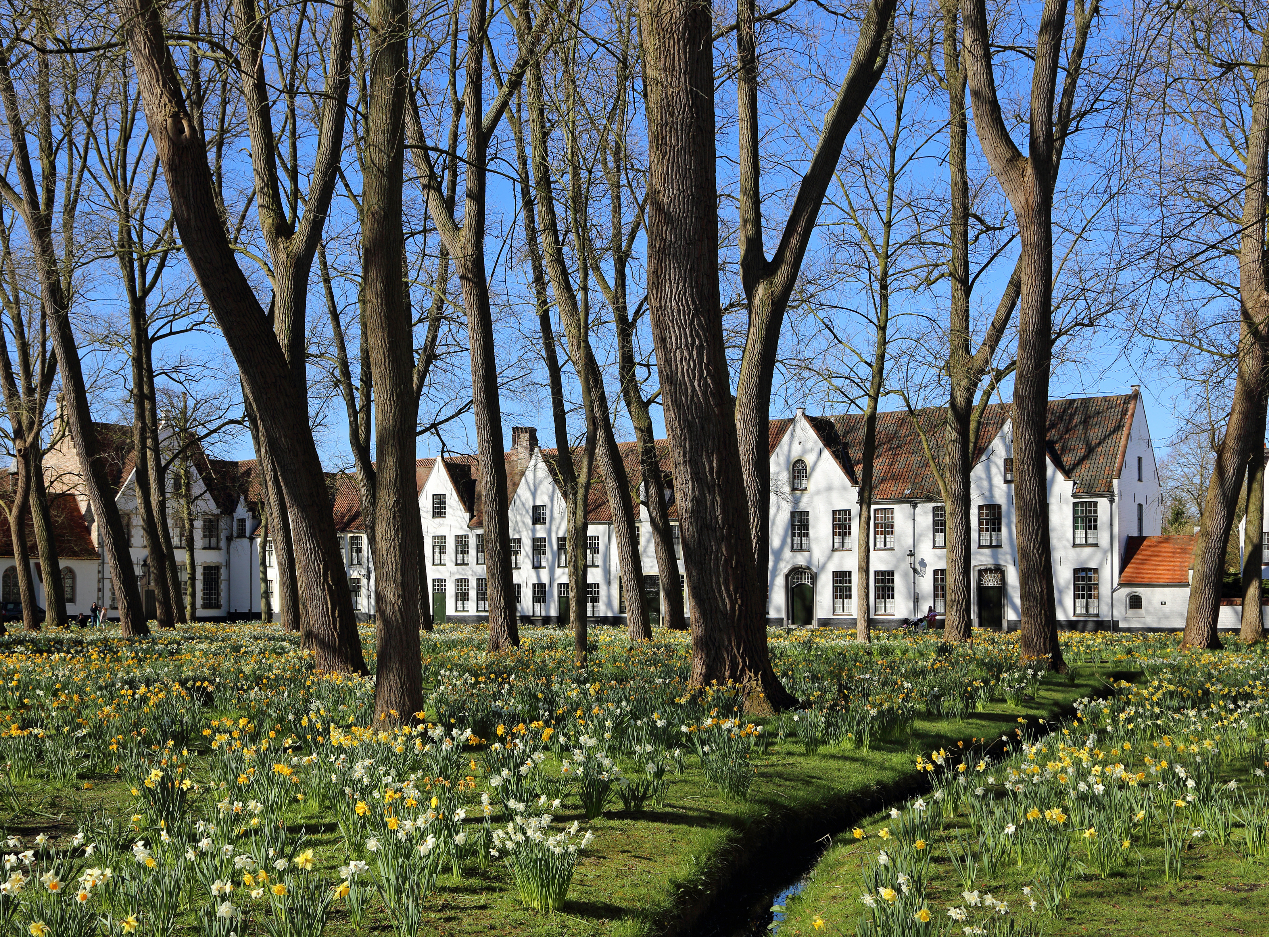 Brugge Begijnhof R01
