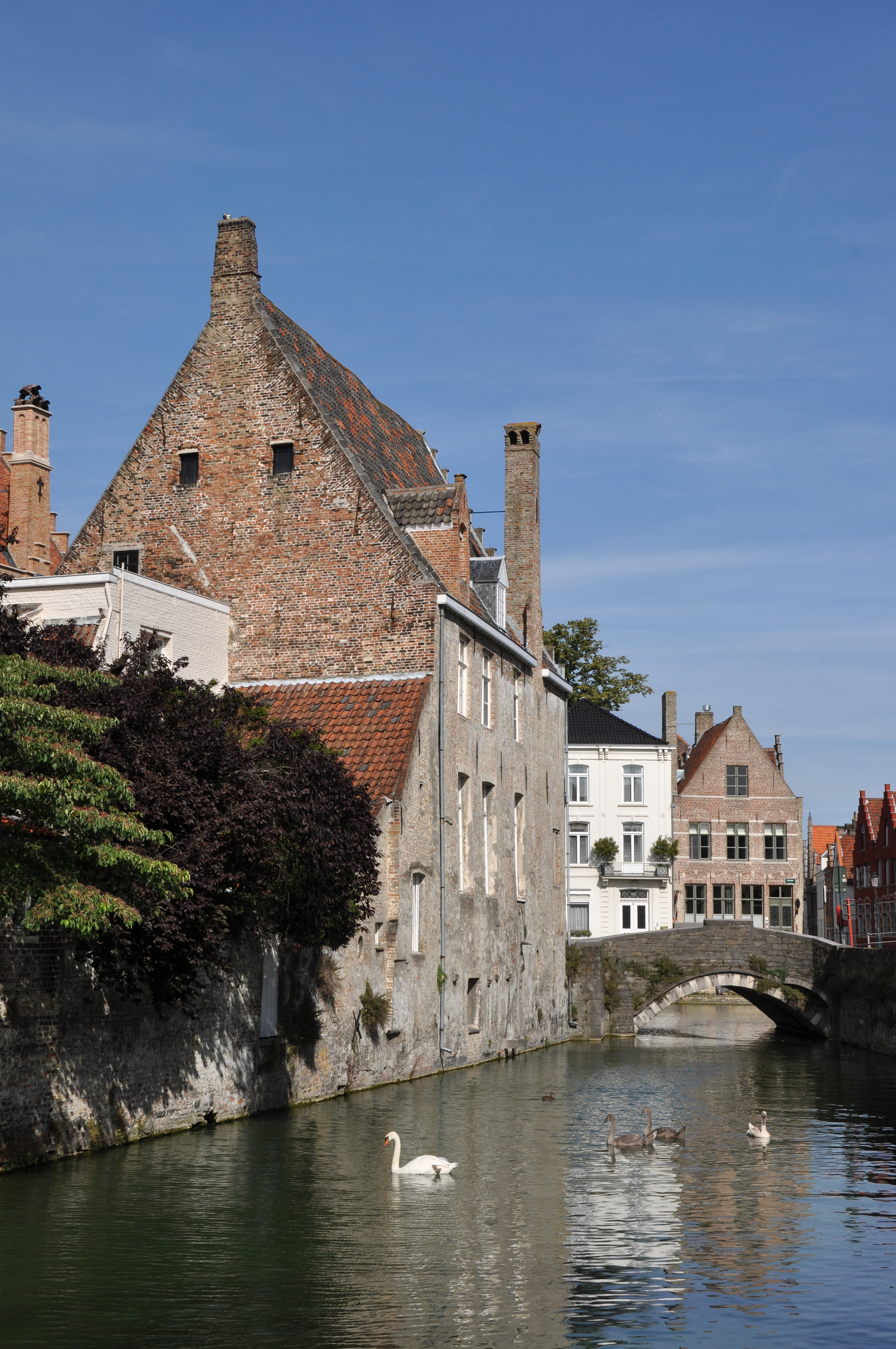 Brugge Goudenhandrei R01