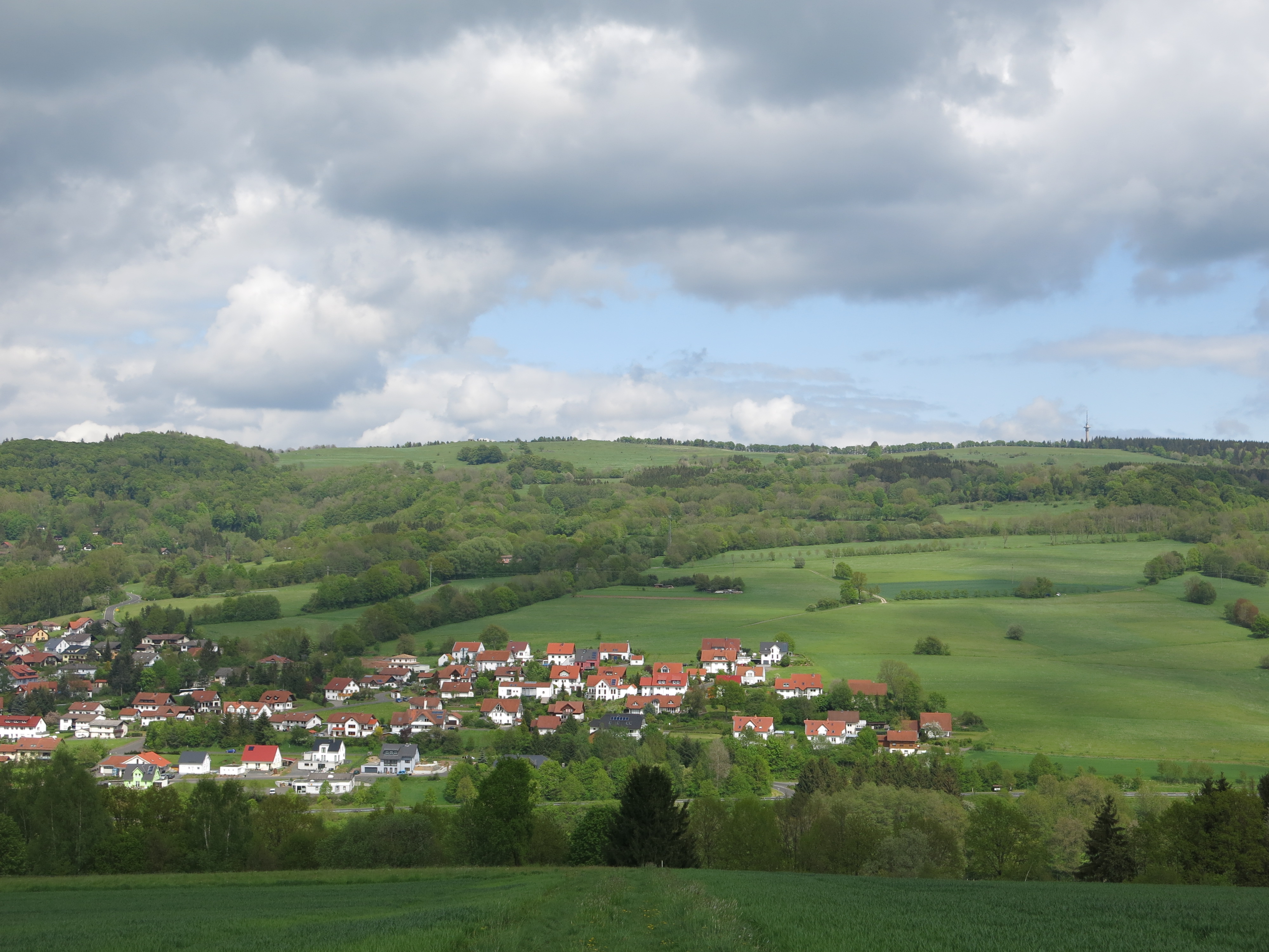 Buchschirm (Westseite)