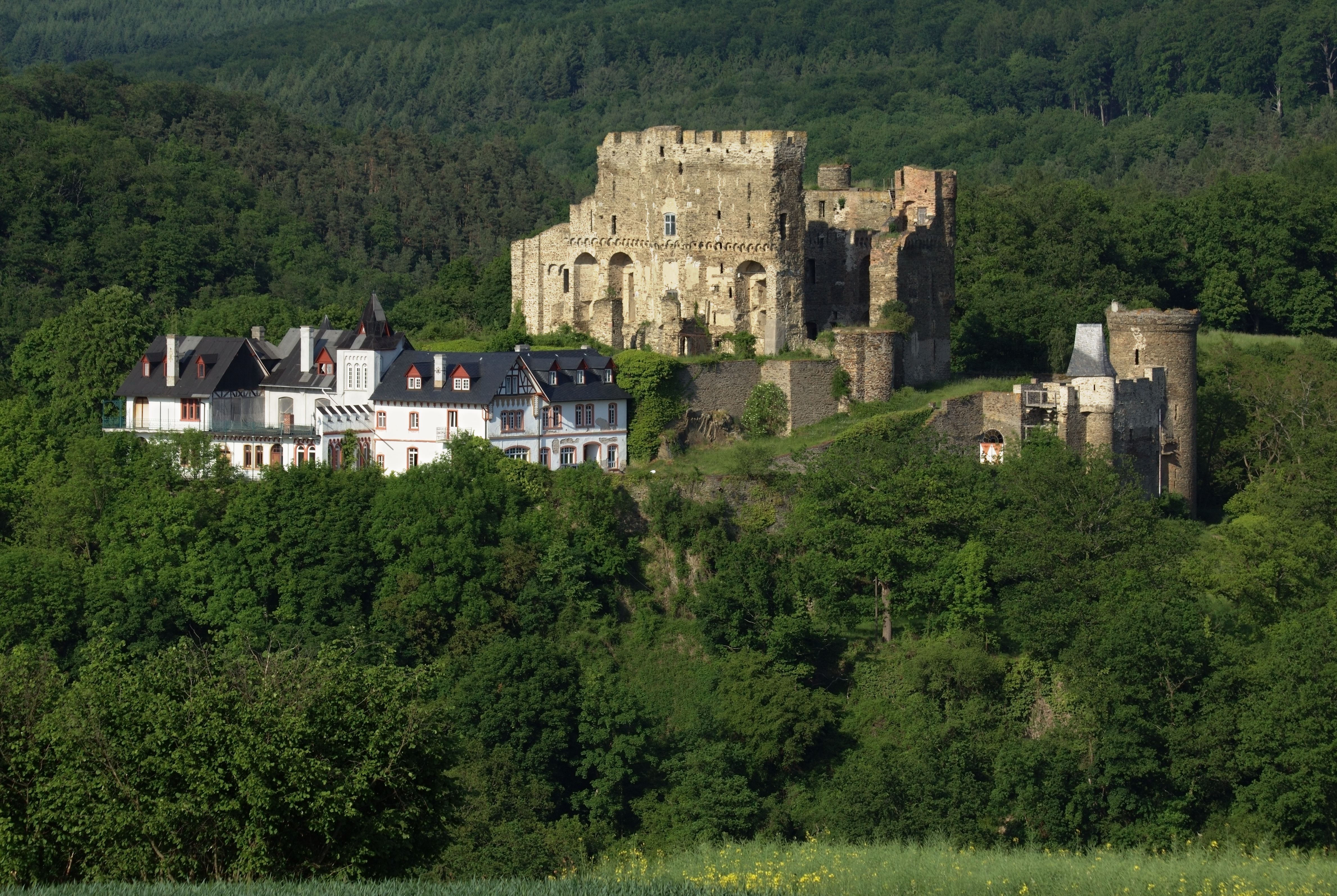 Burg-Reichenberg-JR-E-292-2010-06-05