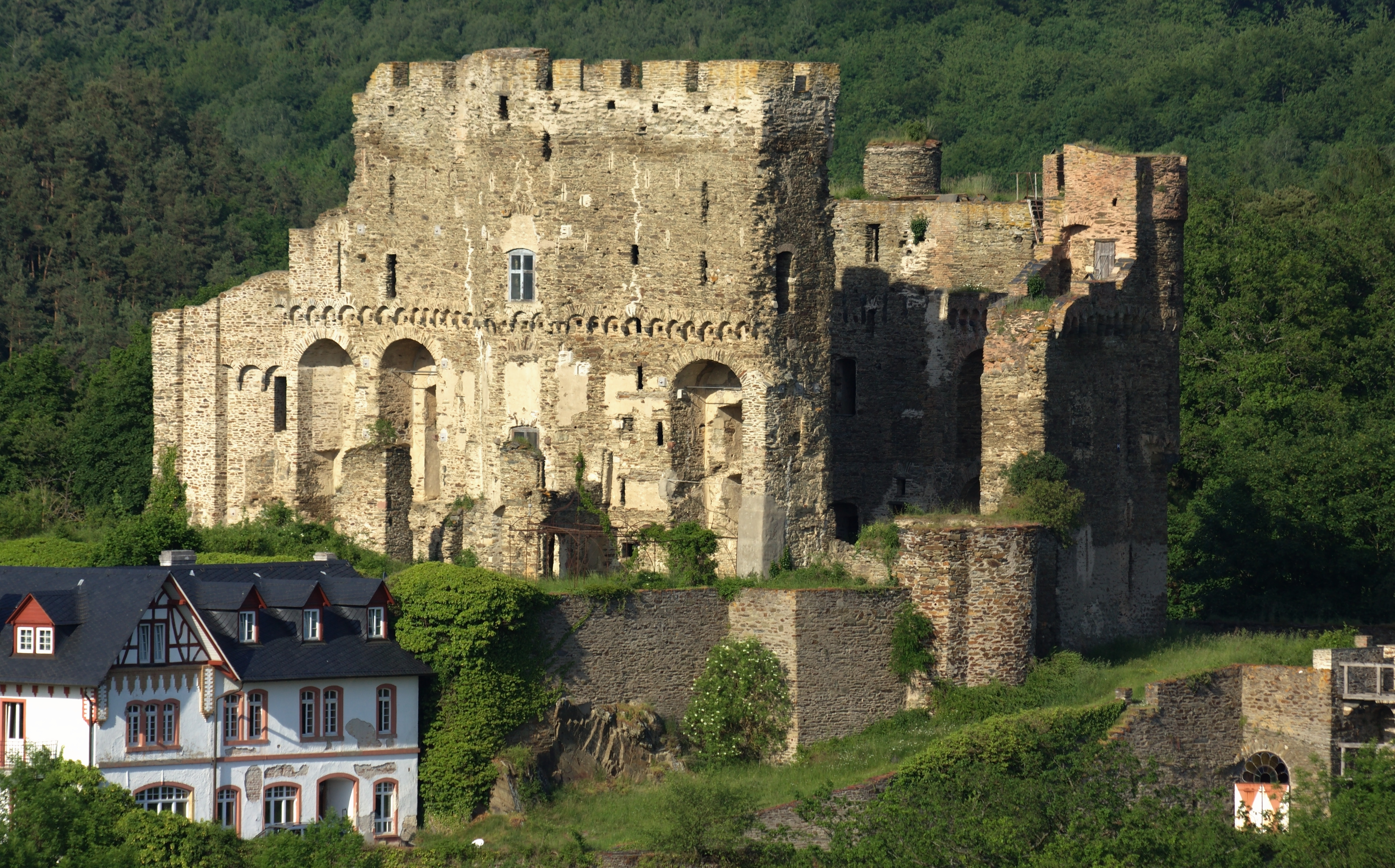 Burg-Reichenberg-JR-E-296-2010-06-05