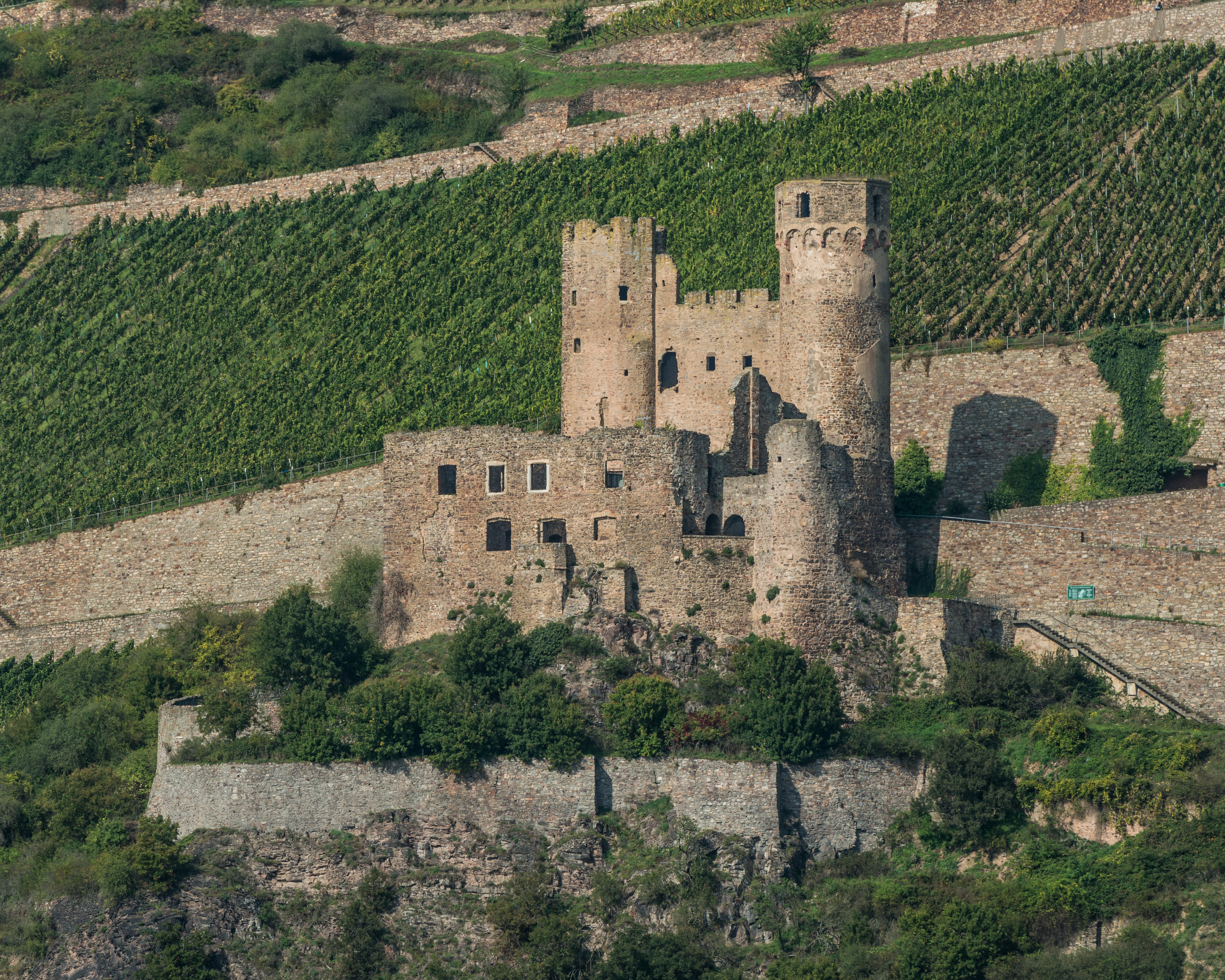 Burg Ehrenfels, South view 20141002 1