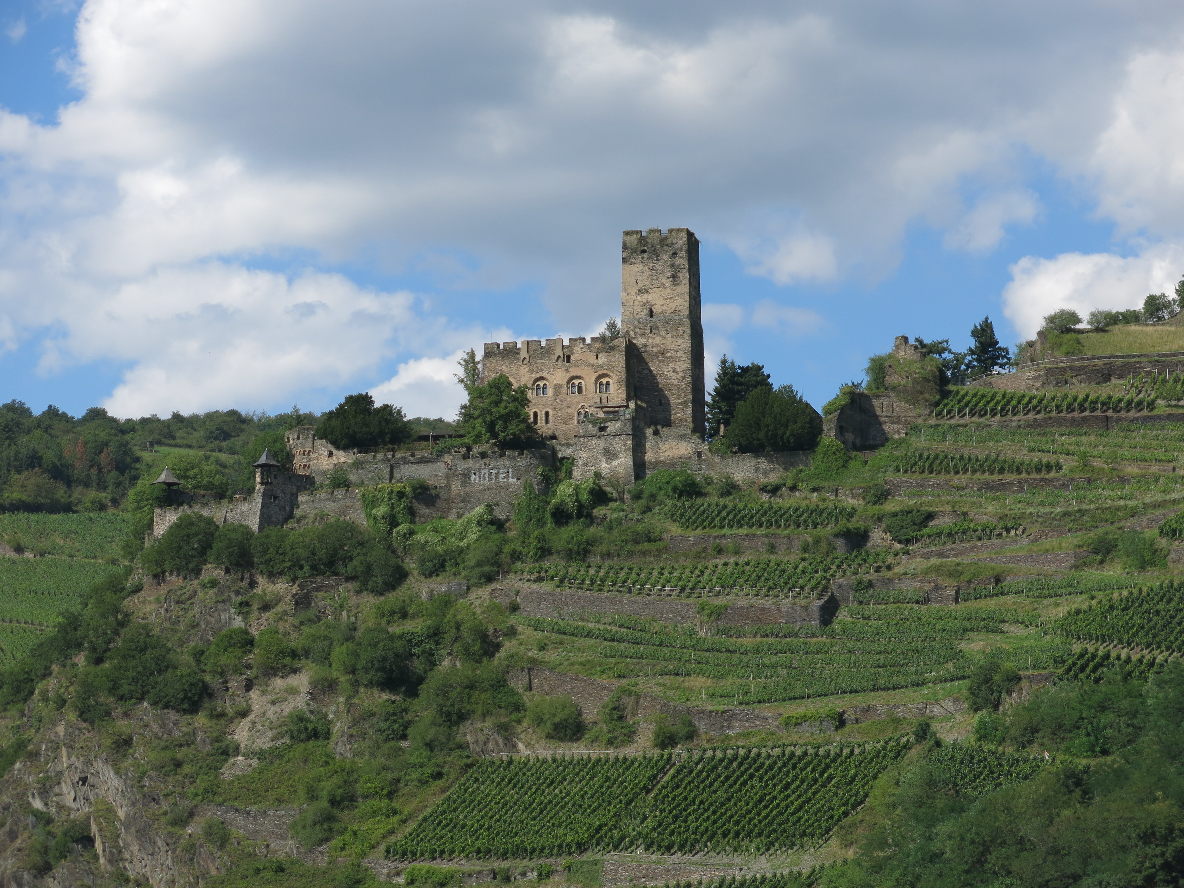Burg Gutenfels (Kaub)