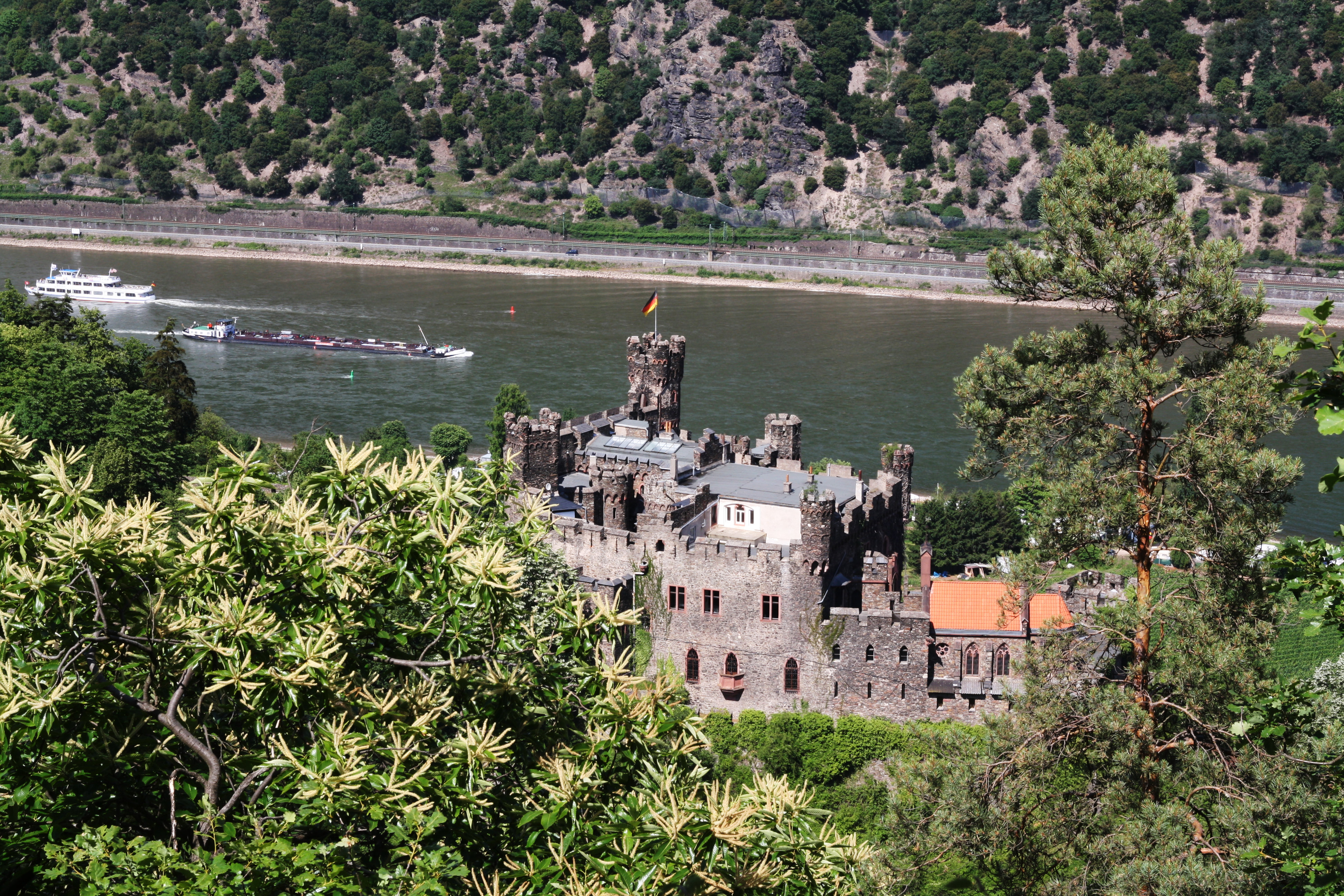 Burg Rheinstein