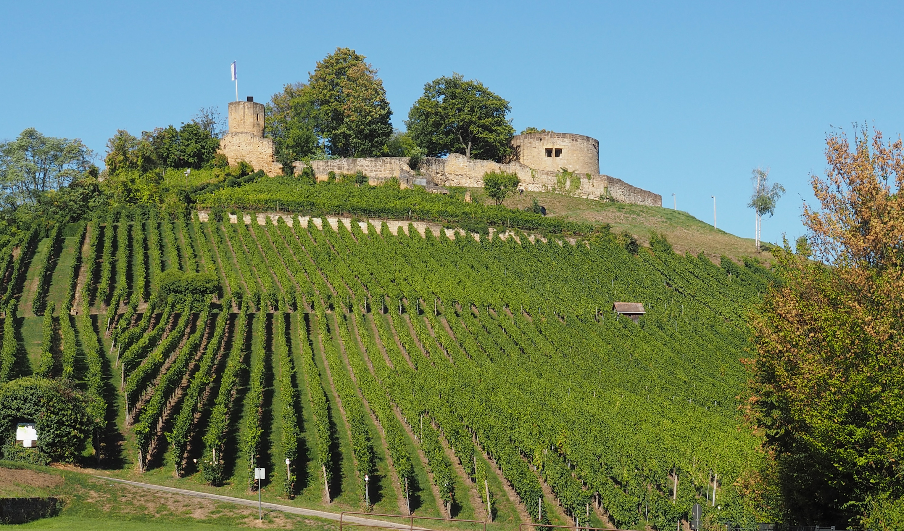Burgruine Weibertreu von Osten 2015