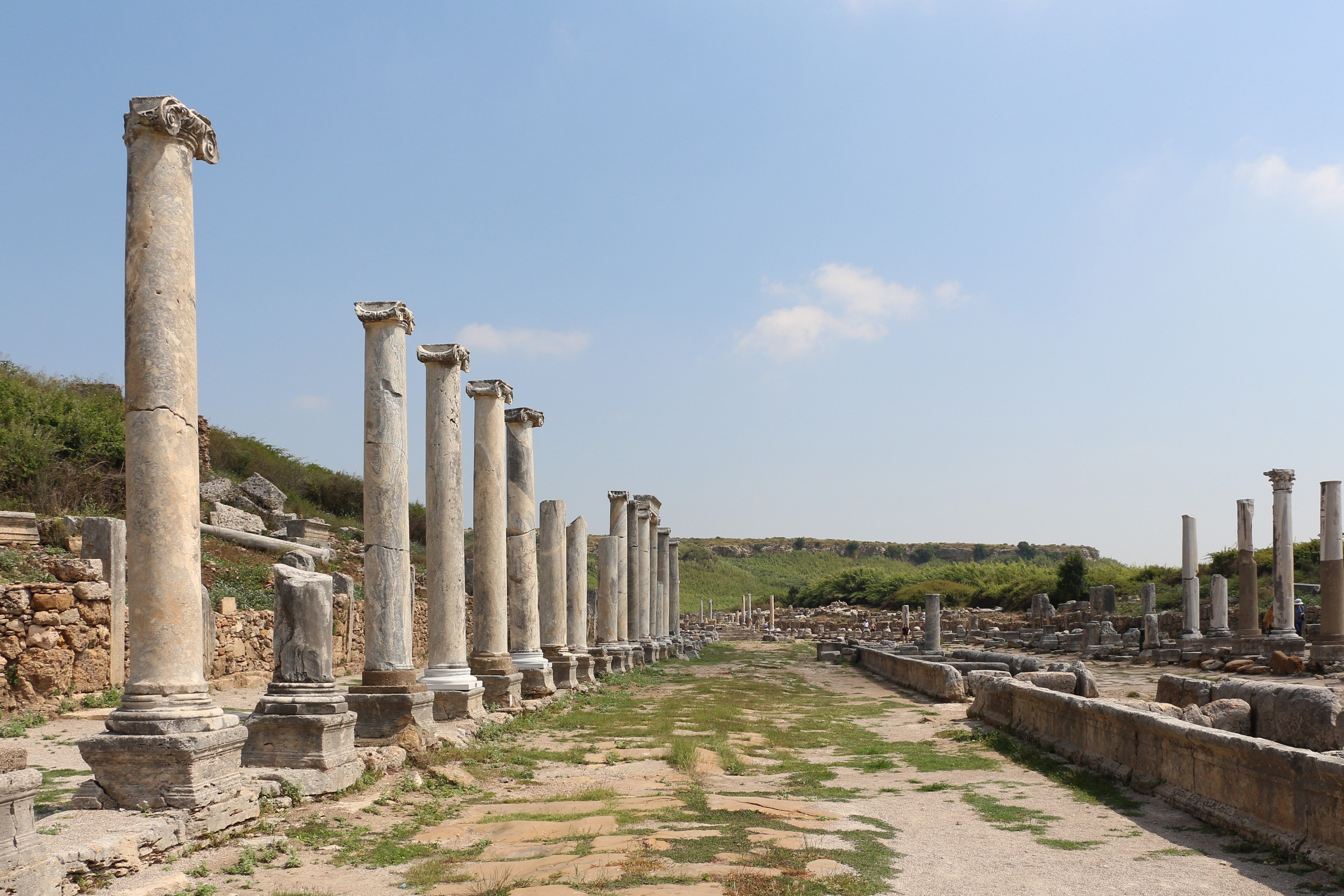 Cardo (Perge)