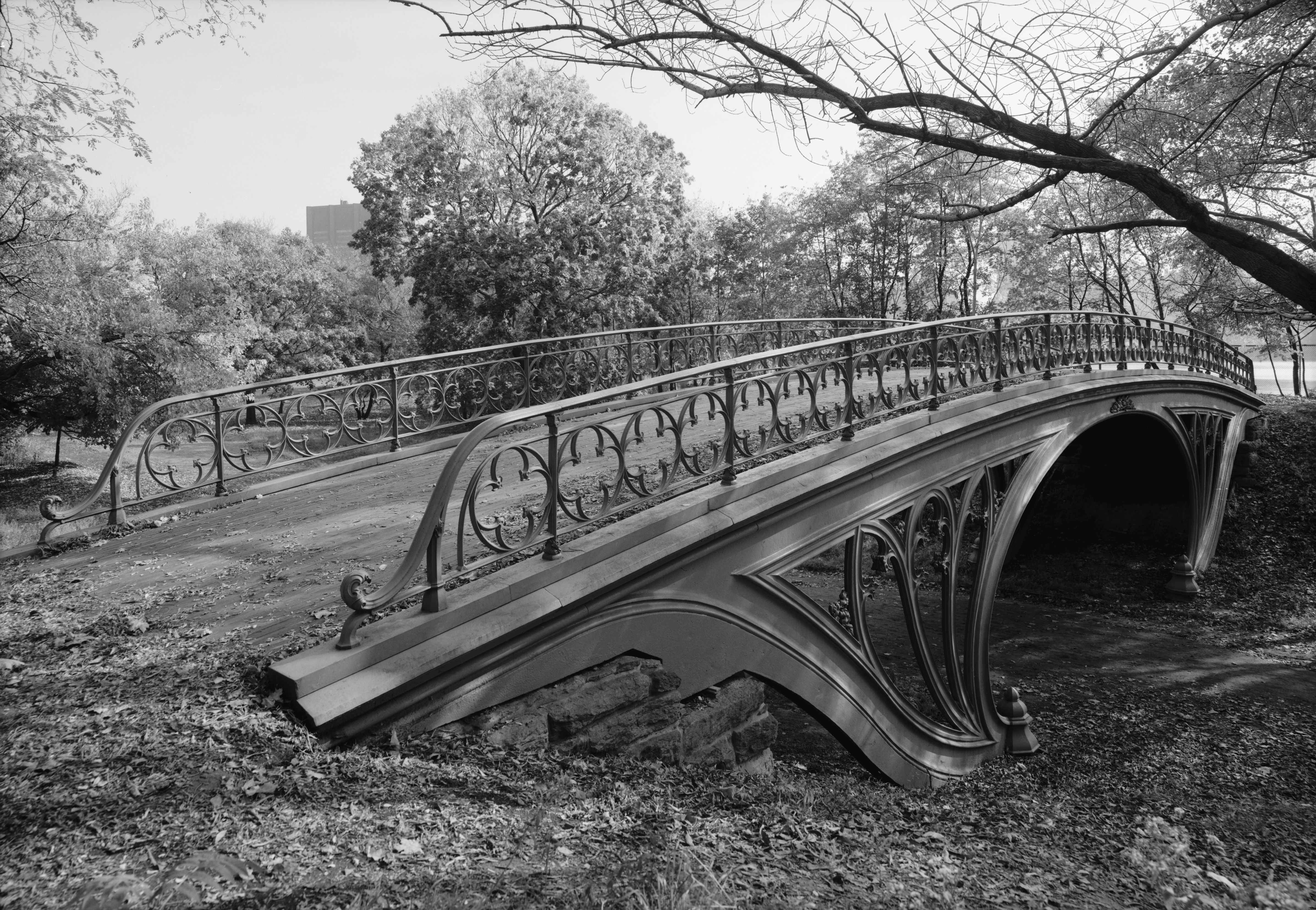 Central Park New York City New York 14