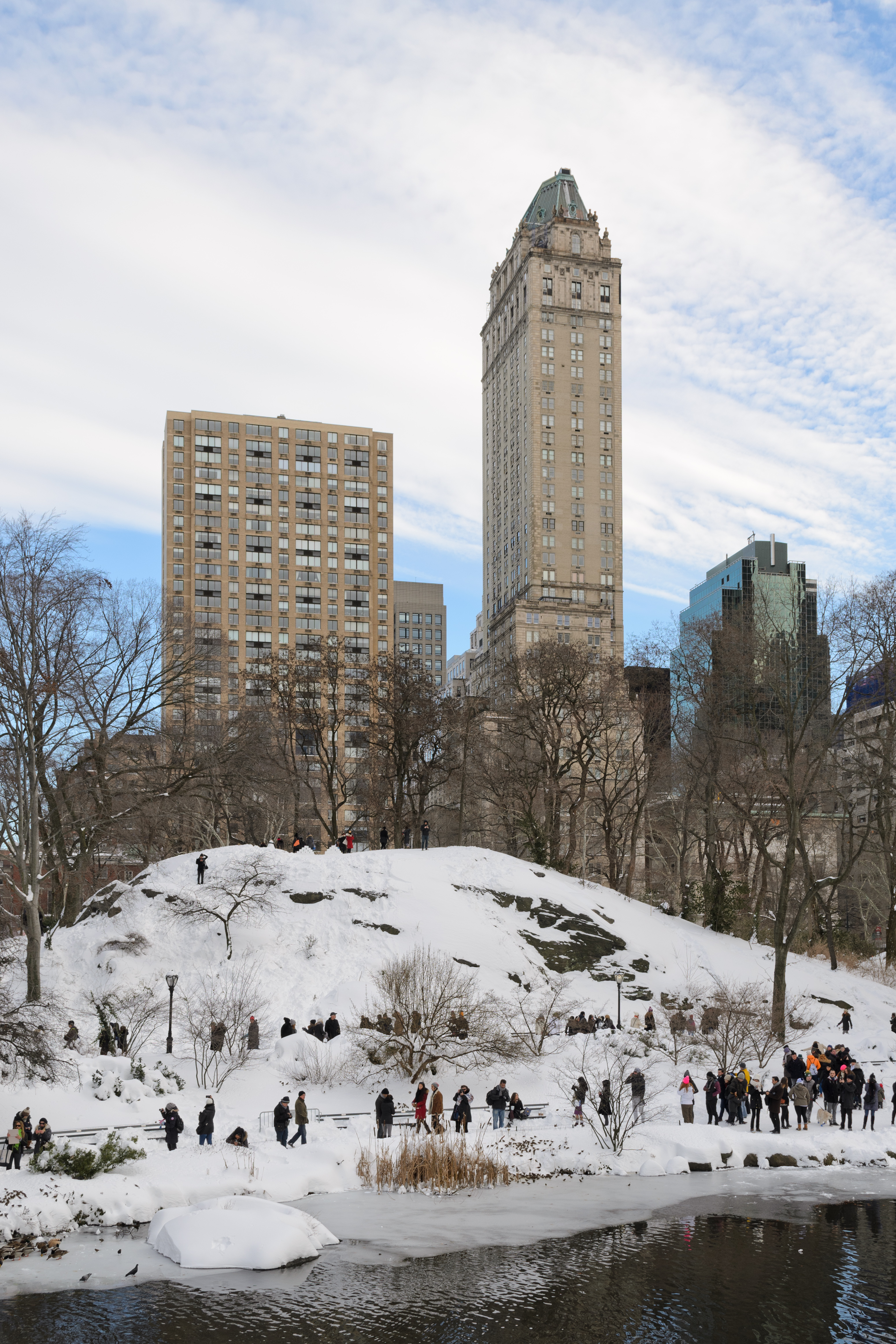 Central Park New York January 2016 003