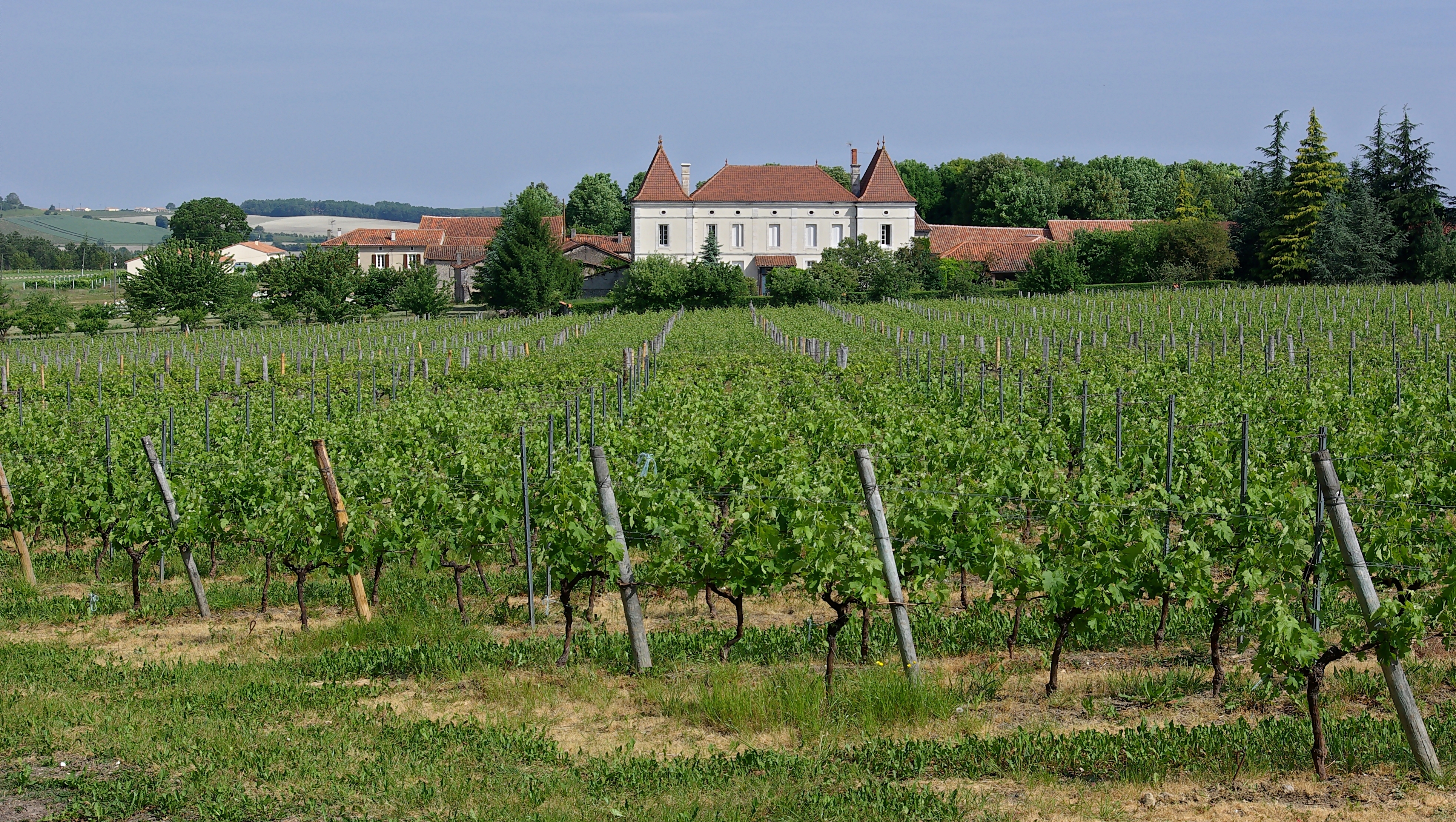 Champagne-Vigny Chez Rulier D436