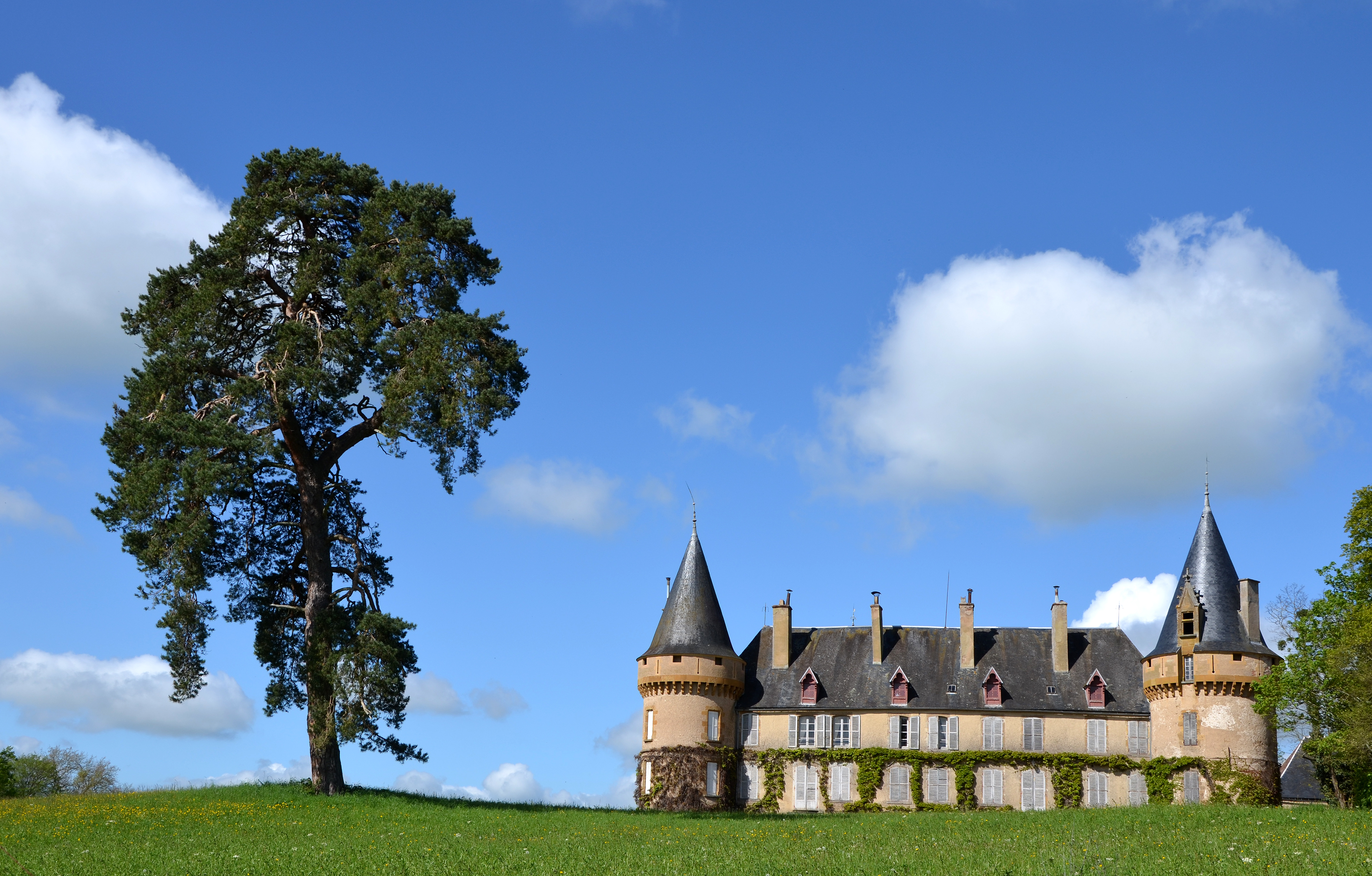 Chateau-de-Villemolin-0484