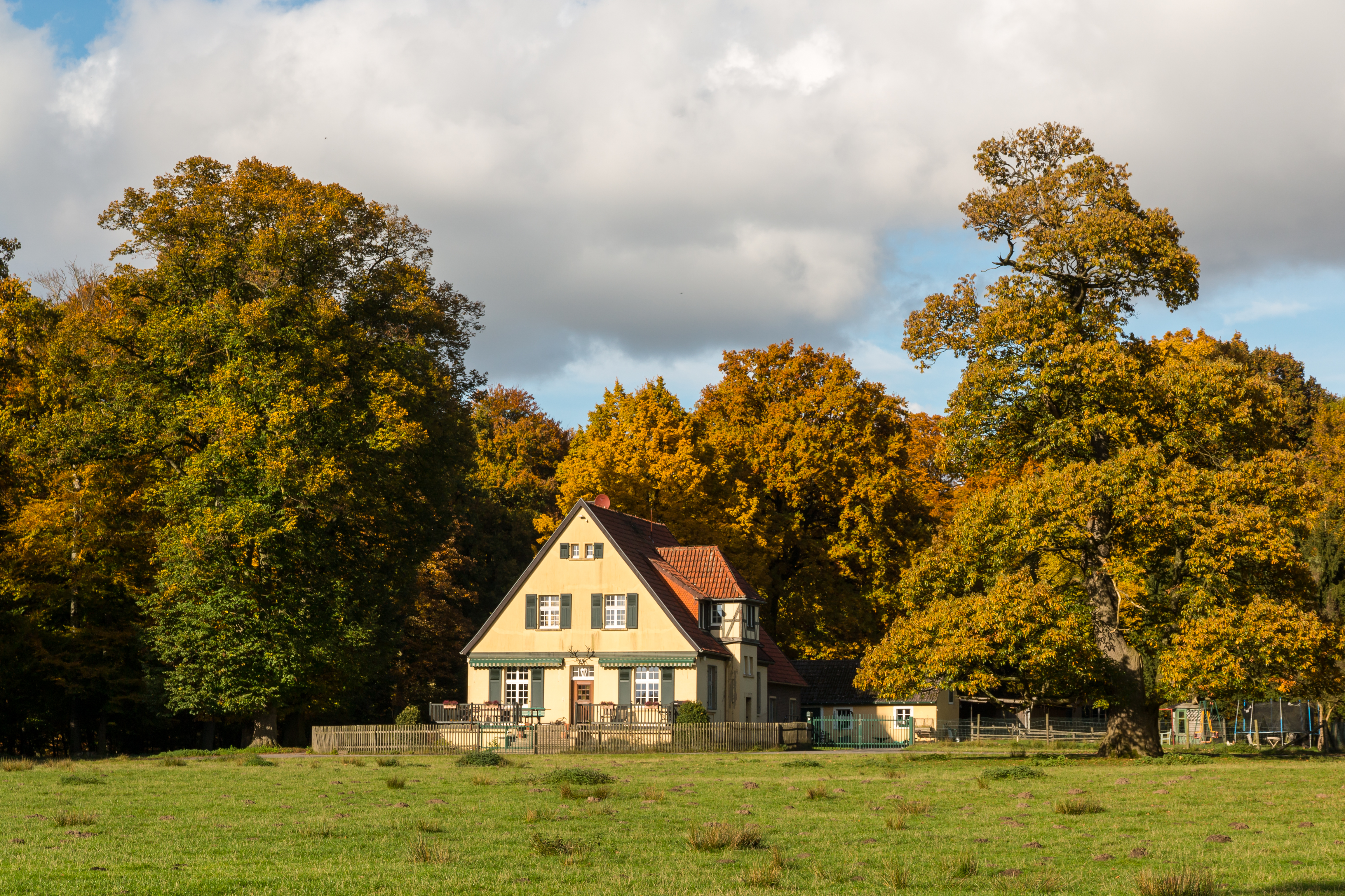 Dülmen, Wildpark -- 2015 -- 8929