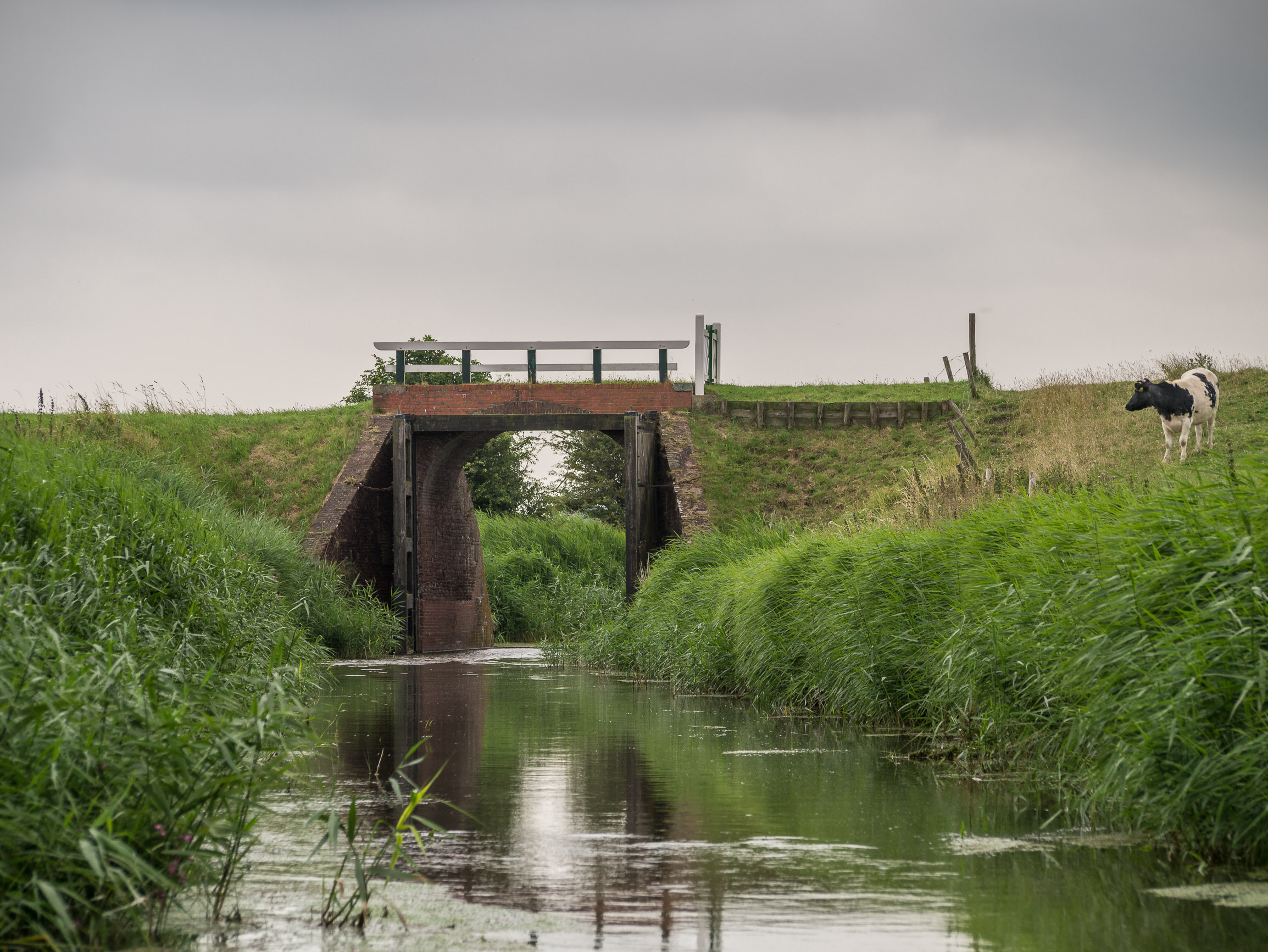 De 'Klief' in de Warffumermaar