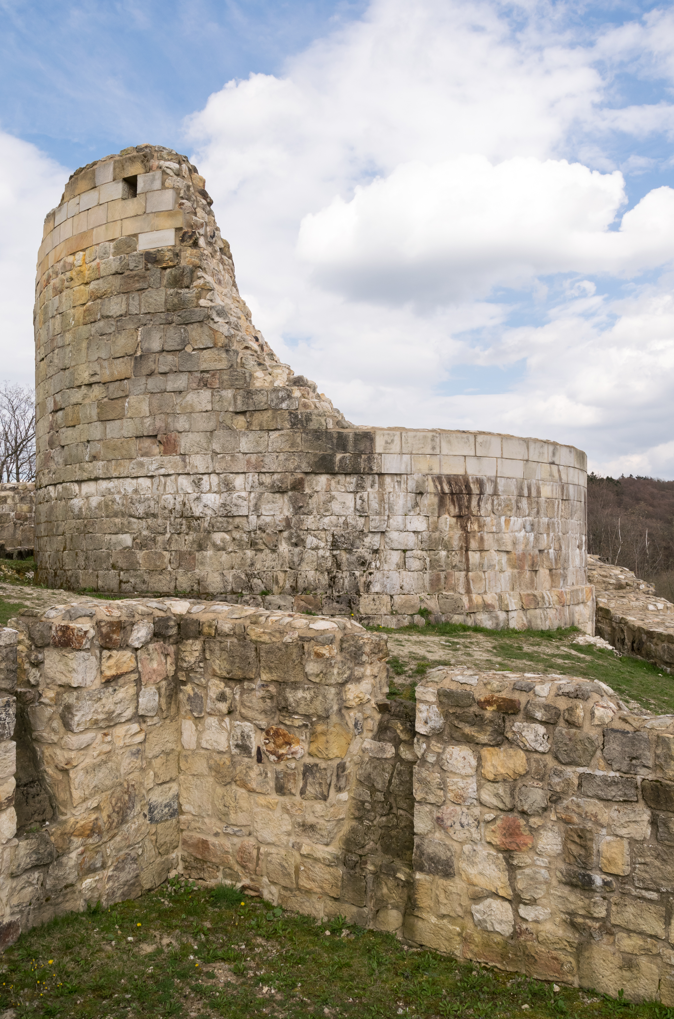 Detmold - 2016-04-16 - Falkenburg (077)