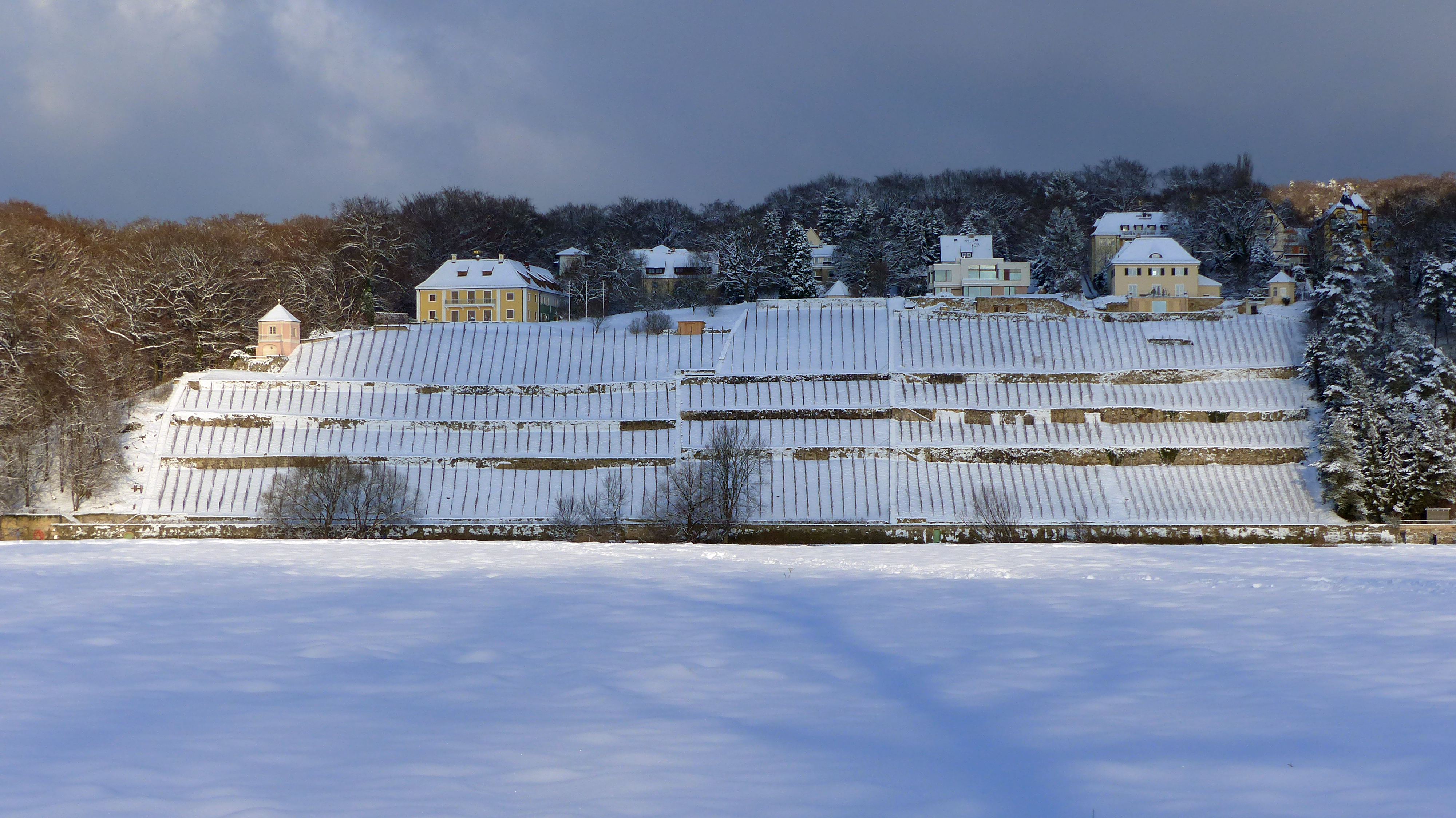 Elbufer Dresden-Loschwitz im Winter 1