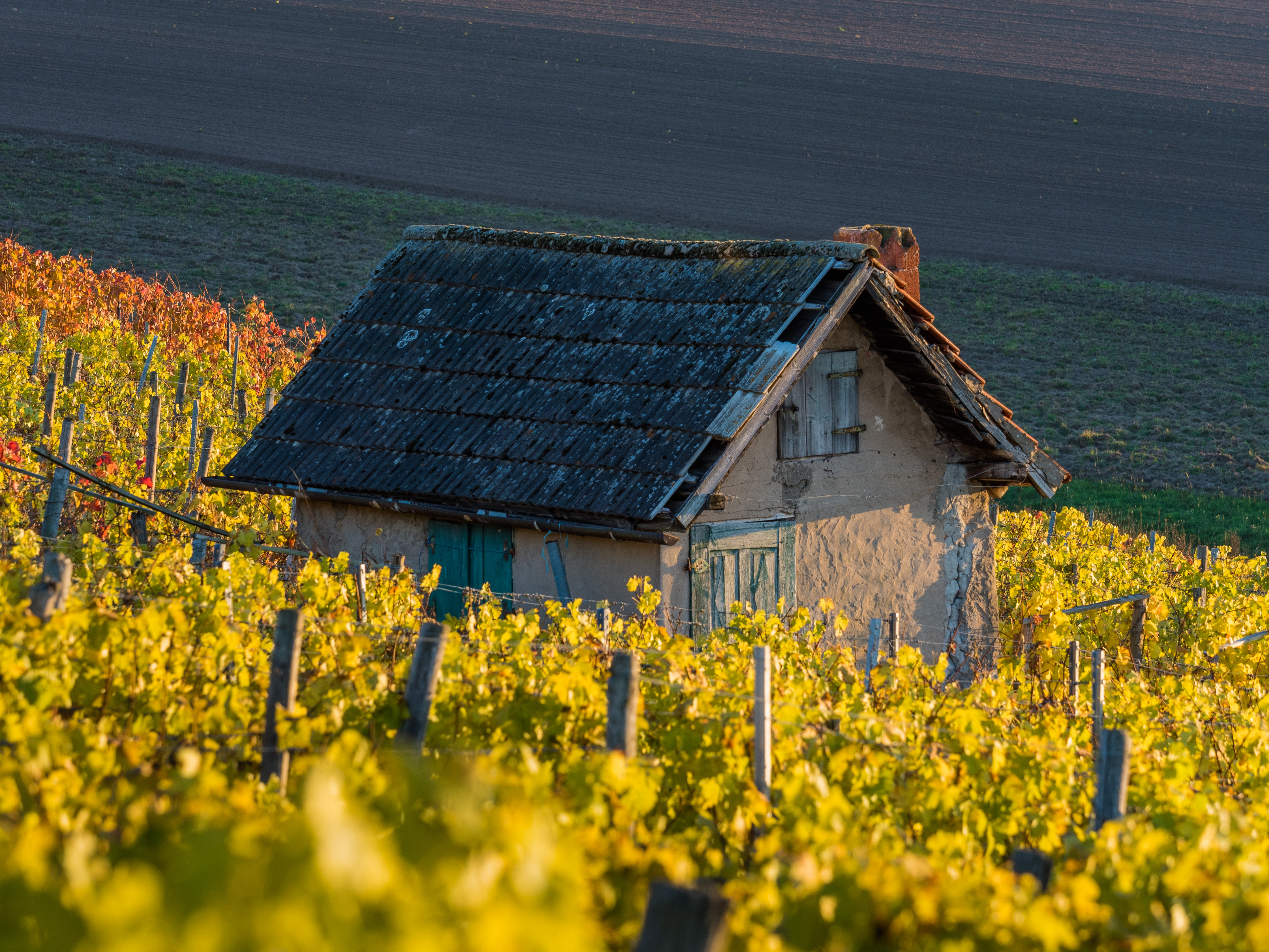 Falkenstein-026474-PS