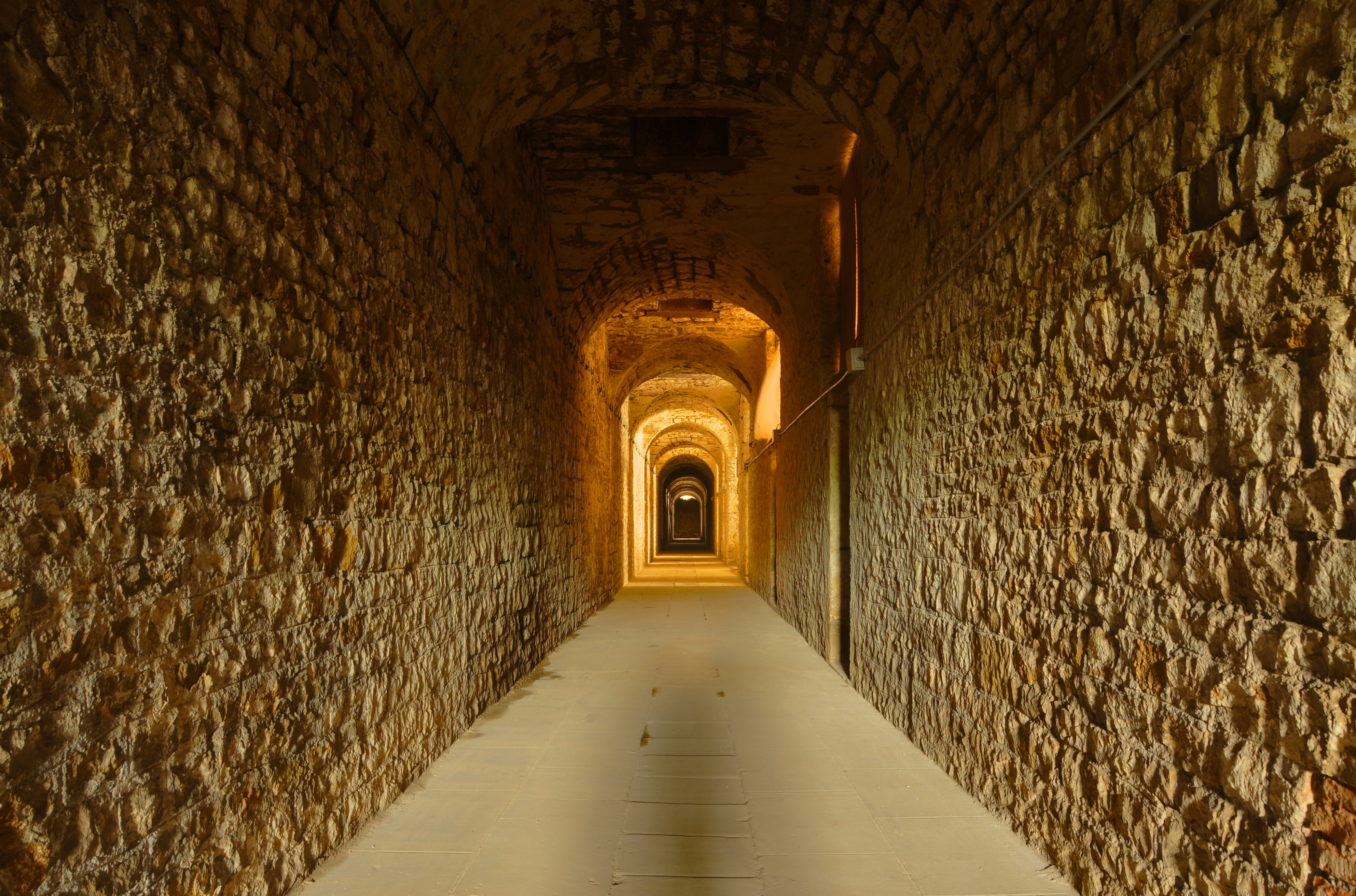 Fort (9)