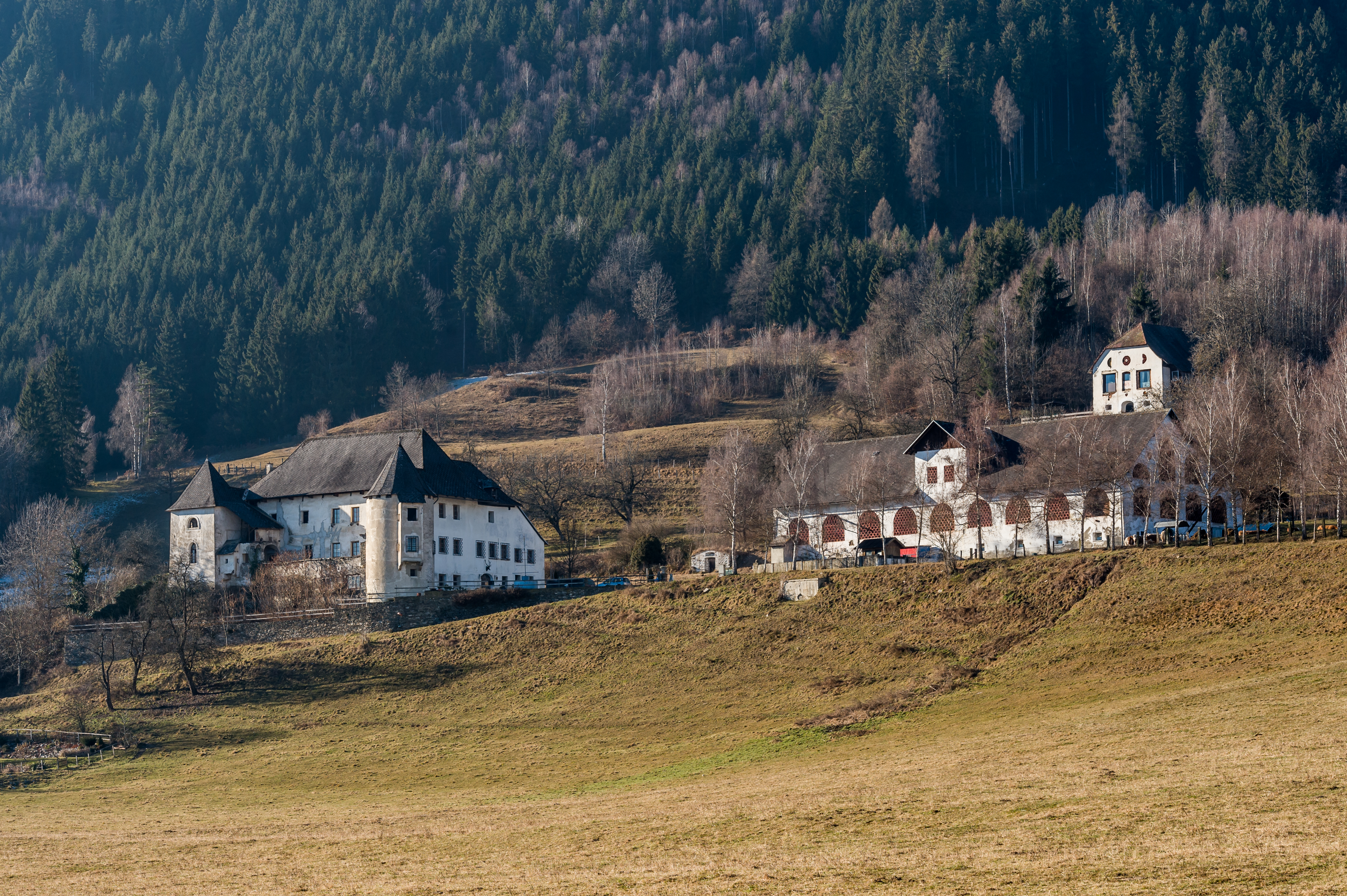 Frauenstein Dornhof 1 Schloss Ost-Ansicht 14122016 4661