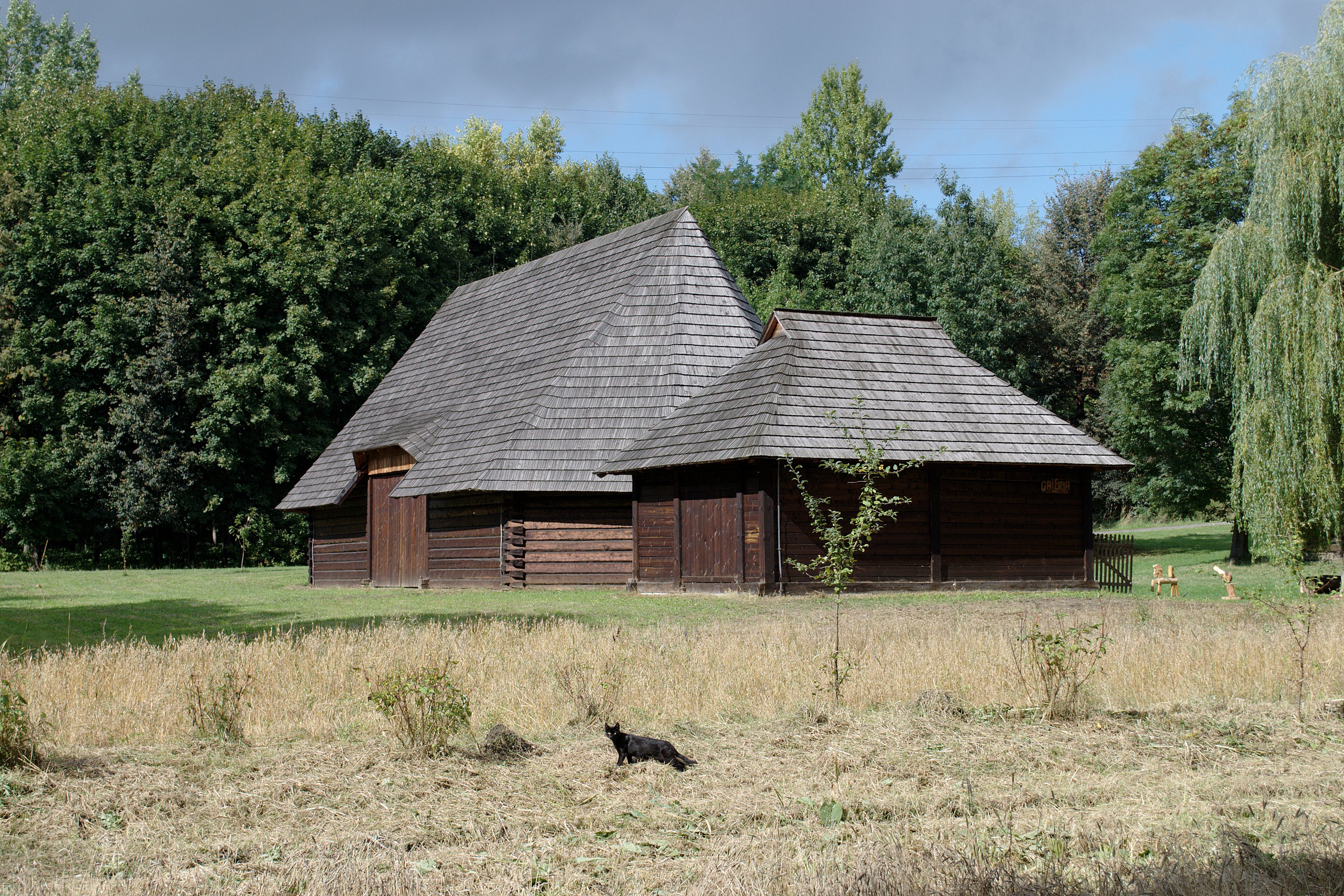 Górnośląski Park Etnograficzny DSC 8300