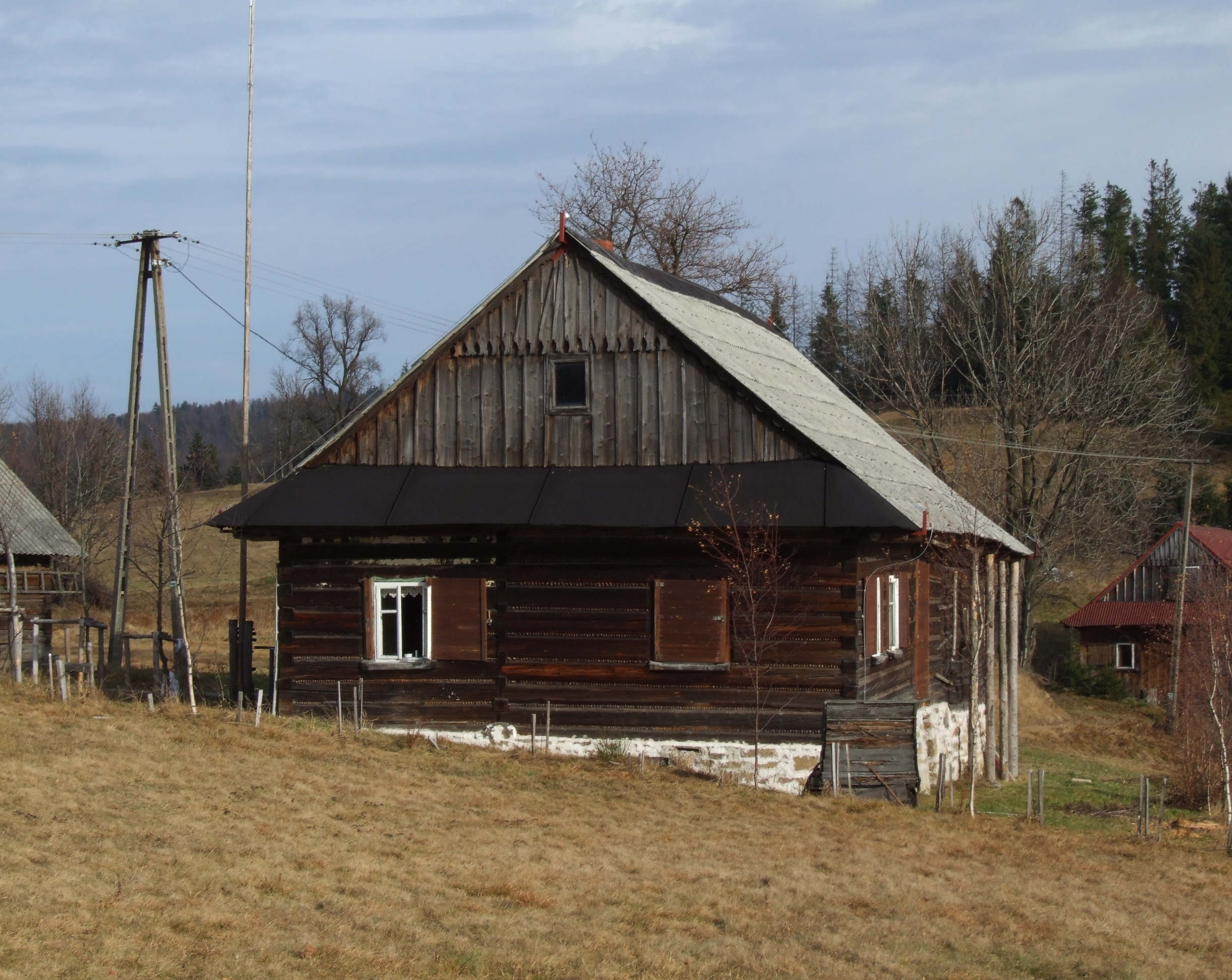 Gibasówka jesienią