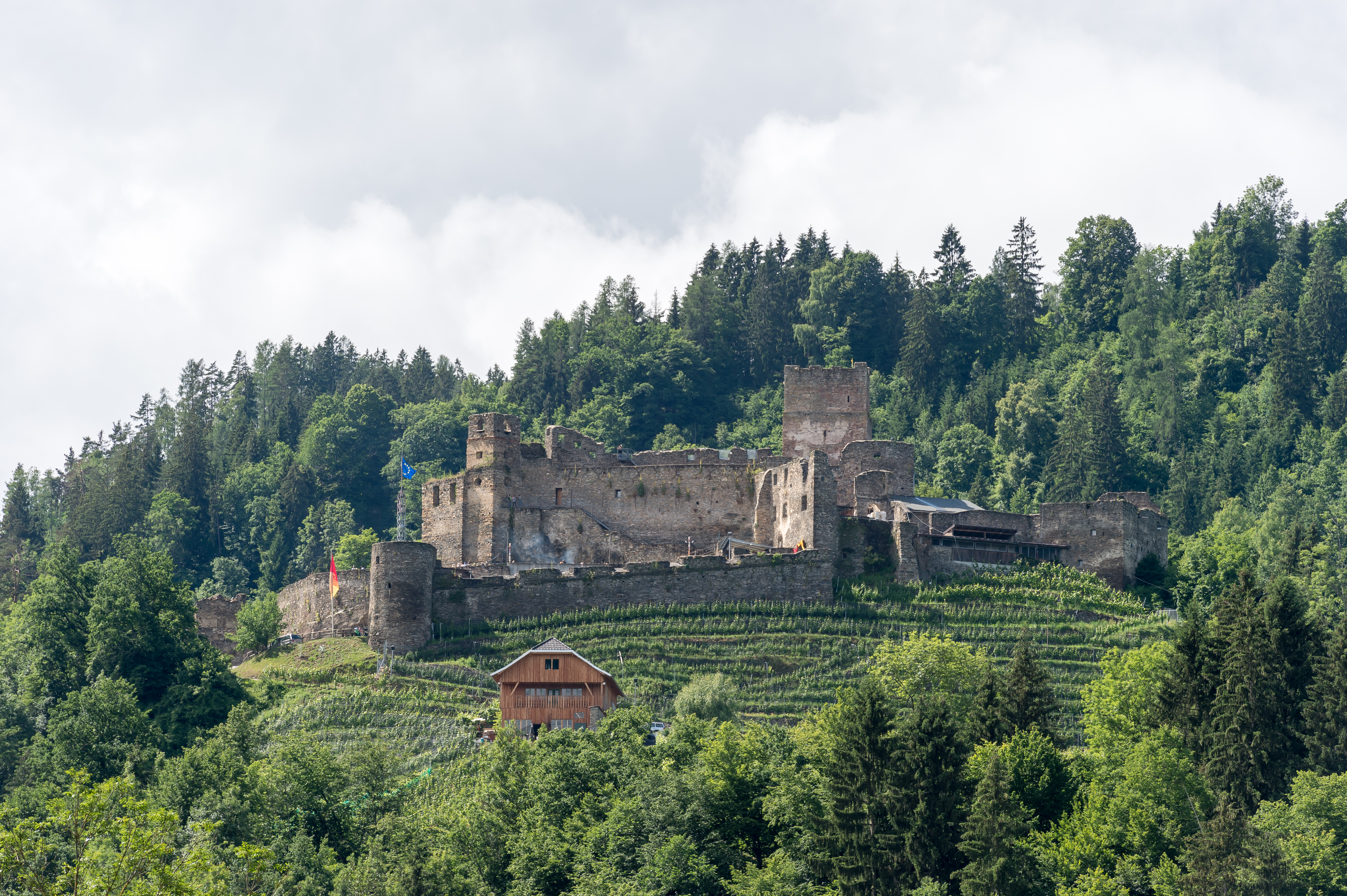 Glanegg Mauthbruecken Burgruine 20062015 1243