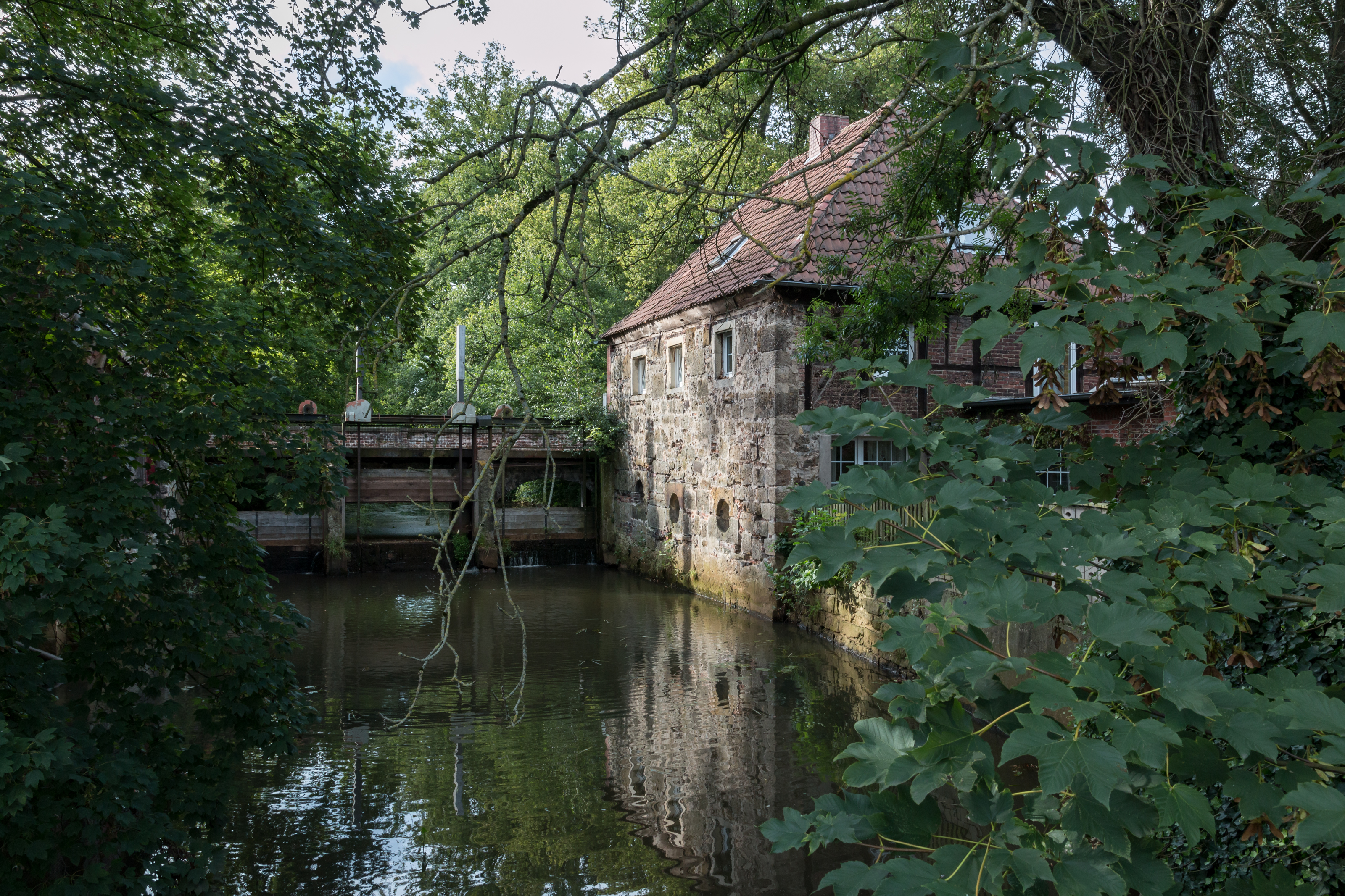 Hausdülmen, Große Teichsmühle -- 2014 -- 3061