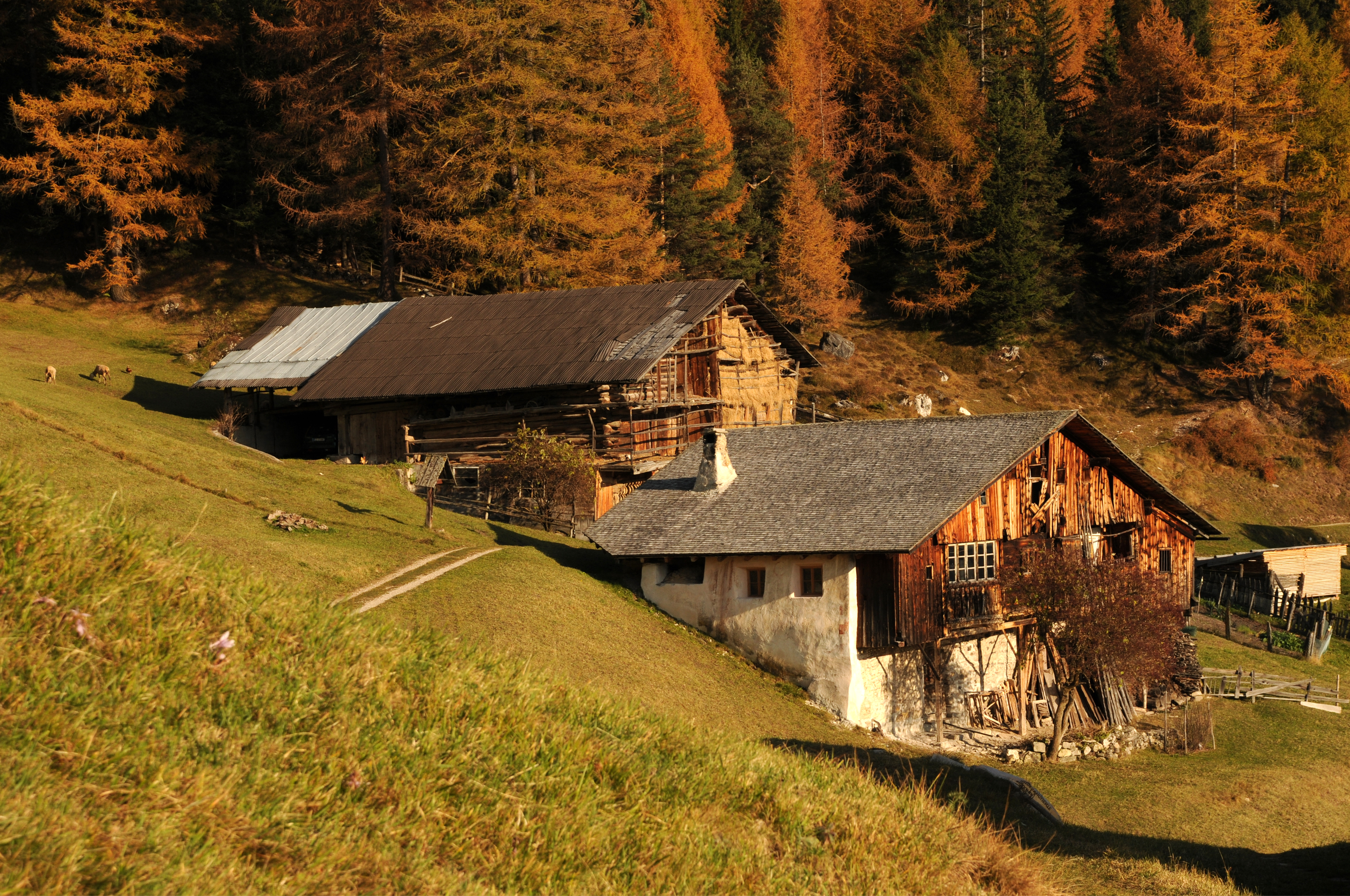 Hof Peza in Urtijei