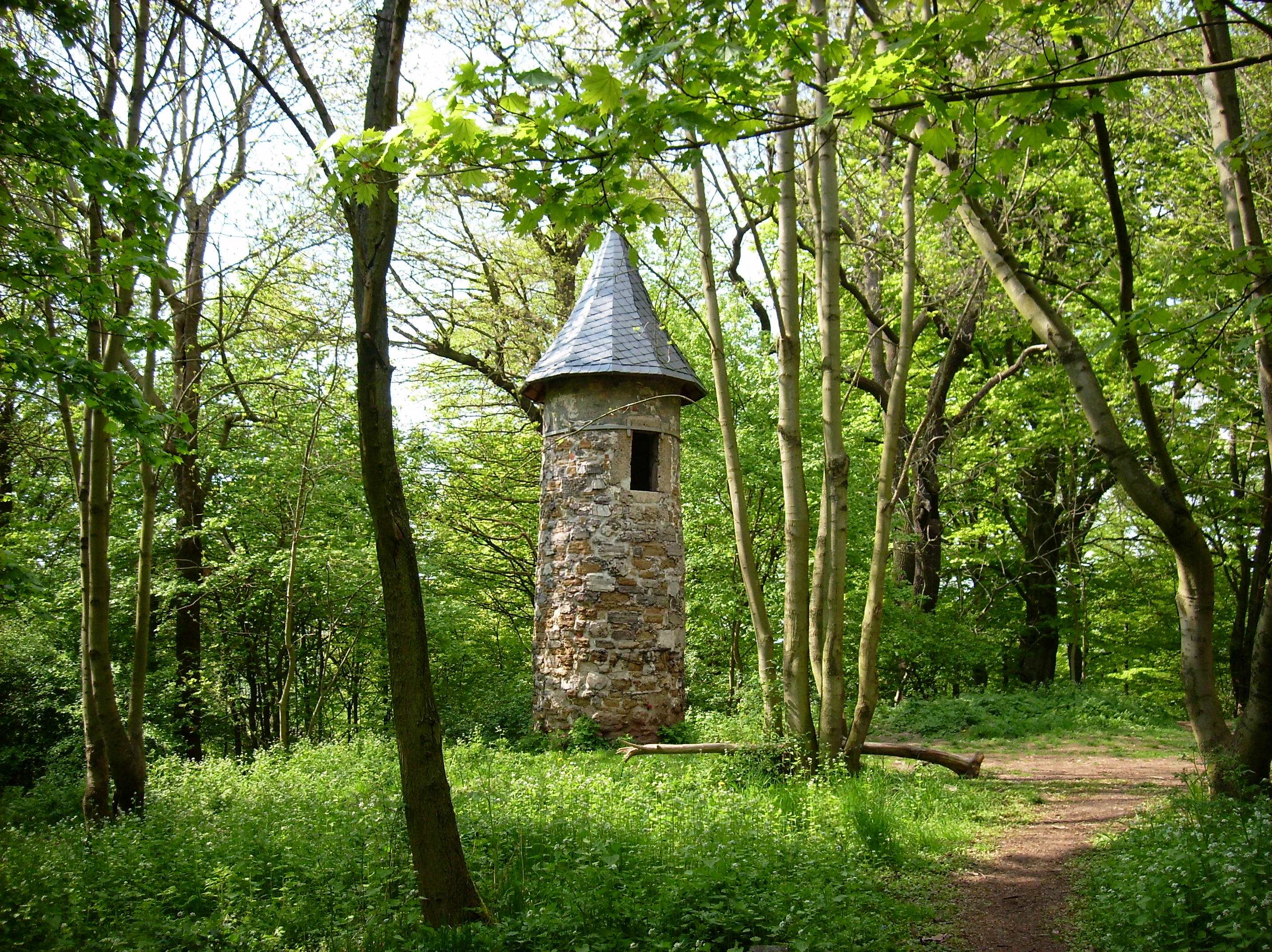 HohenrodeWartt