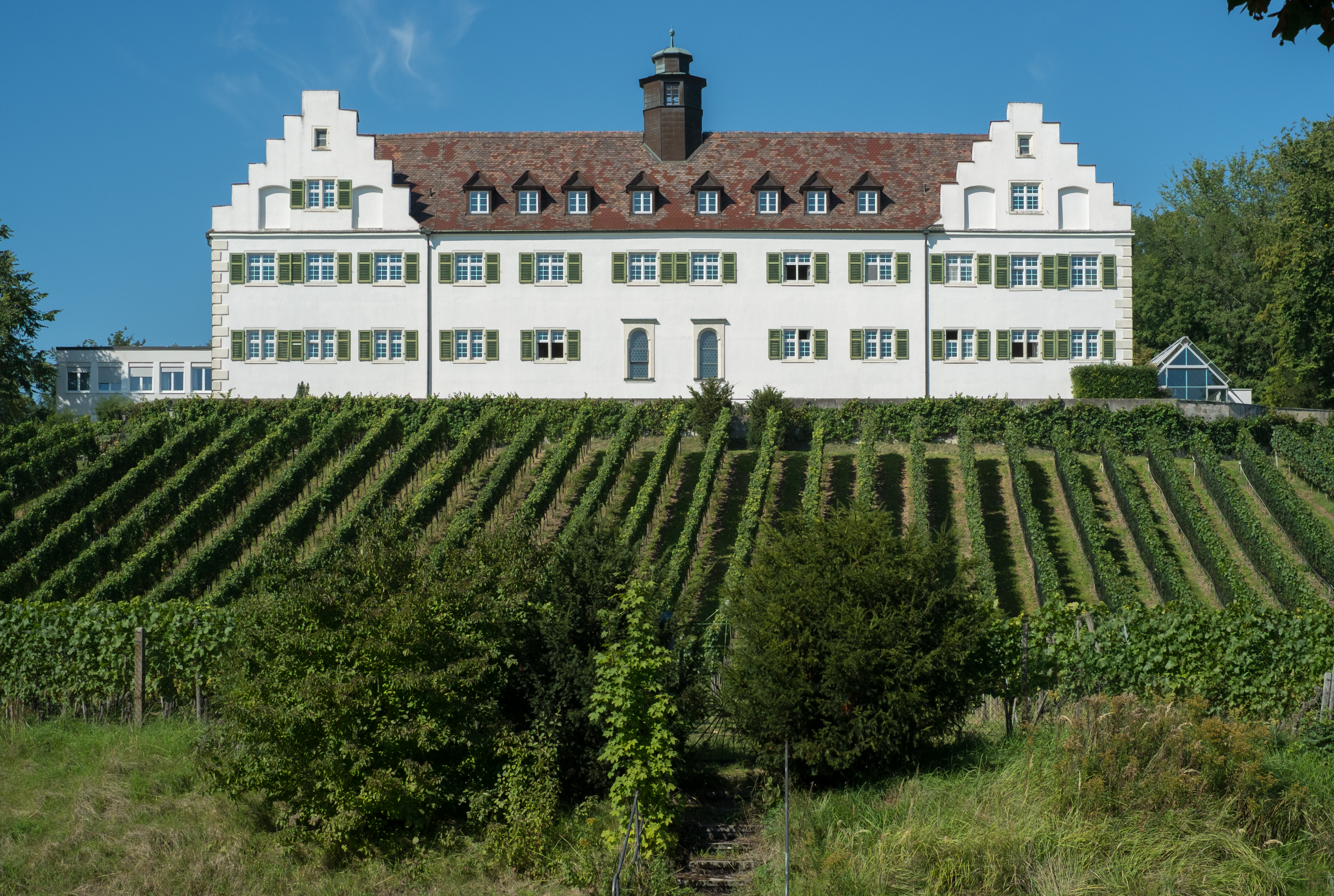Immenstaad-5033