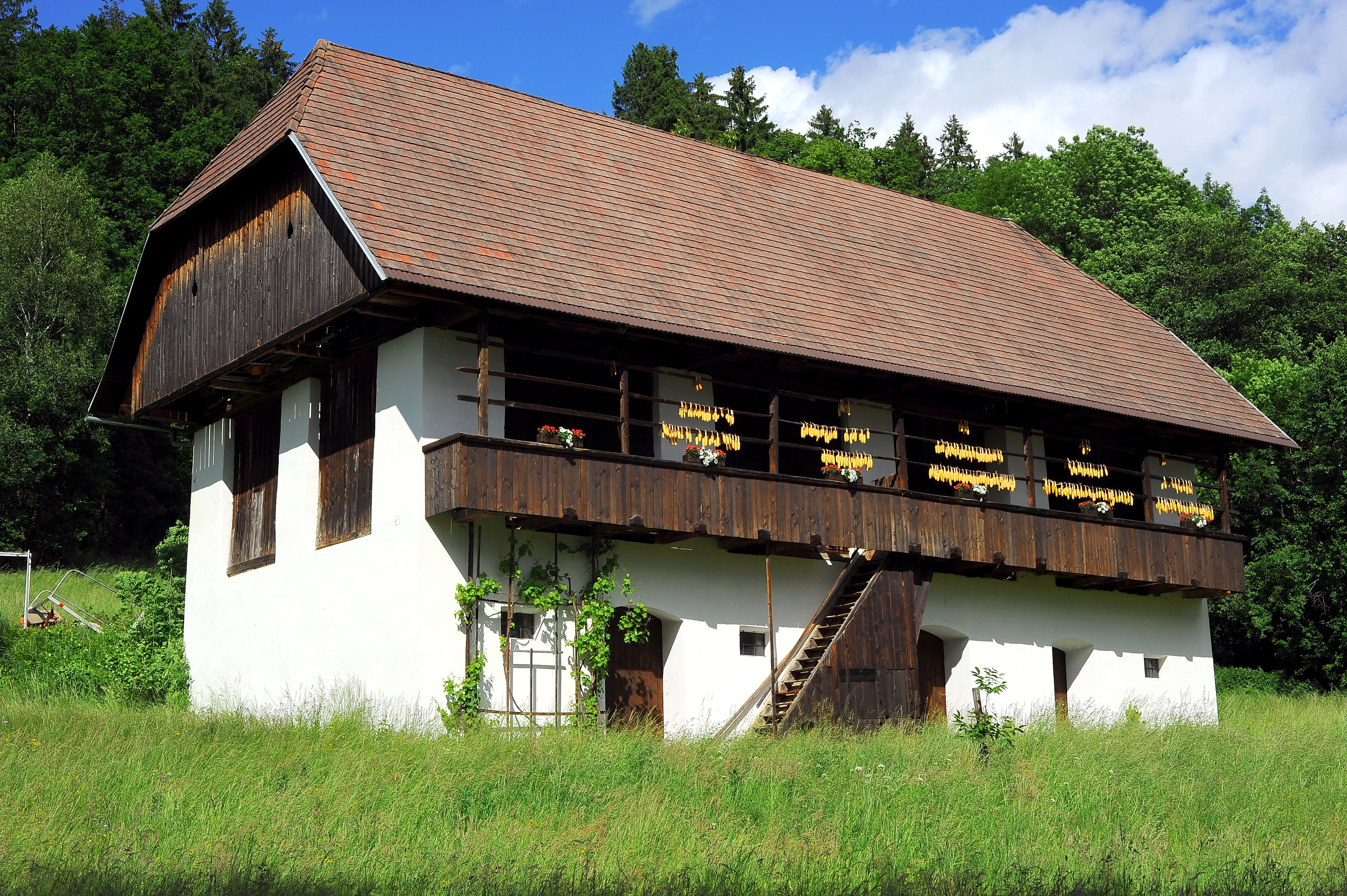 Keutschach 2 Pfarrhofstadel 31052010 39