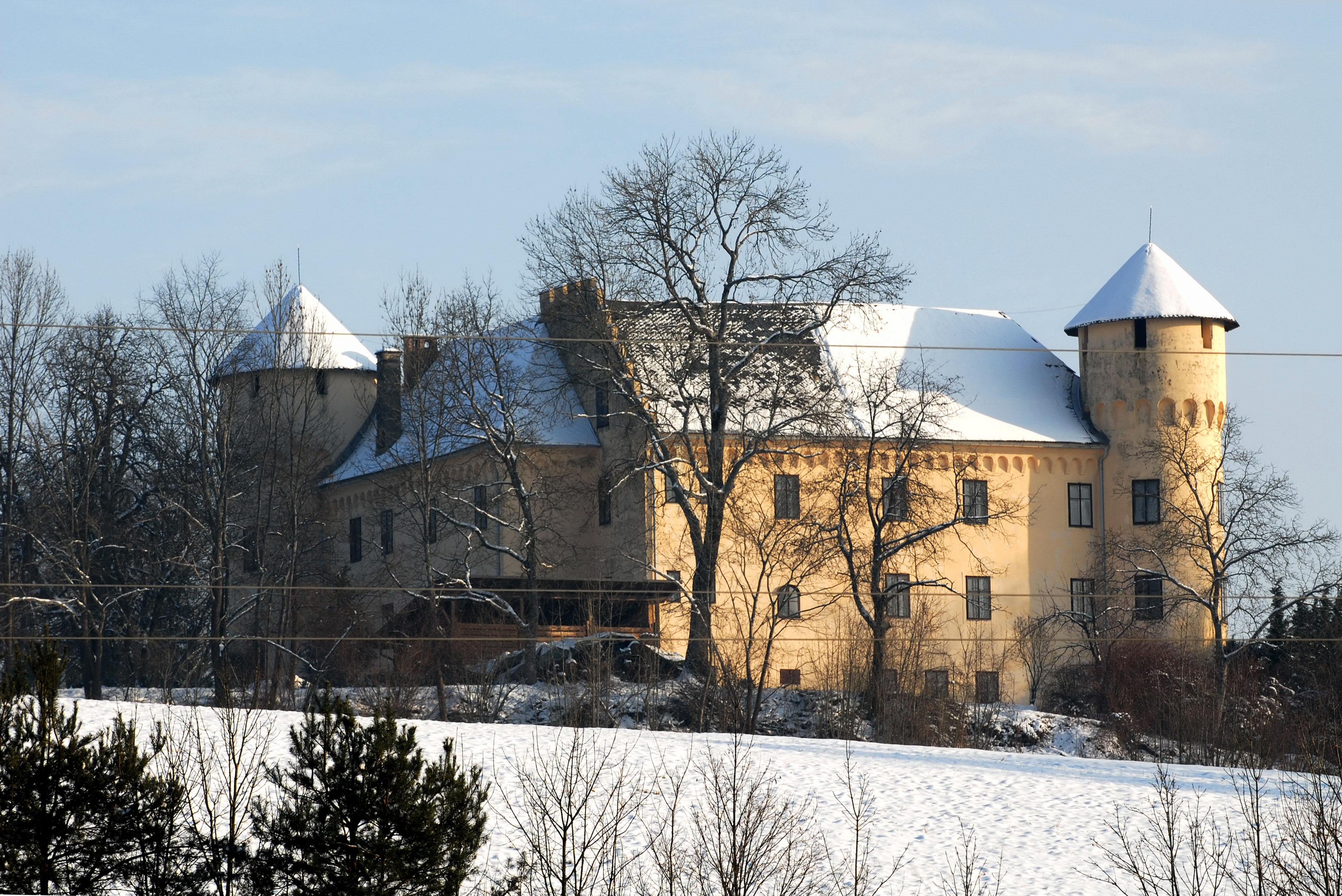 Klagenfurt Woelfnitz Tenschach Schloss Tentschach 27012010 923