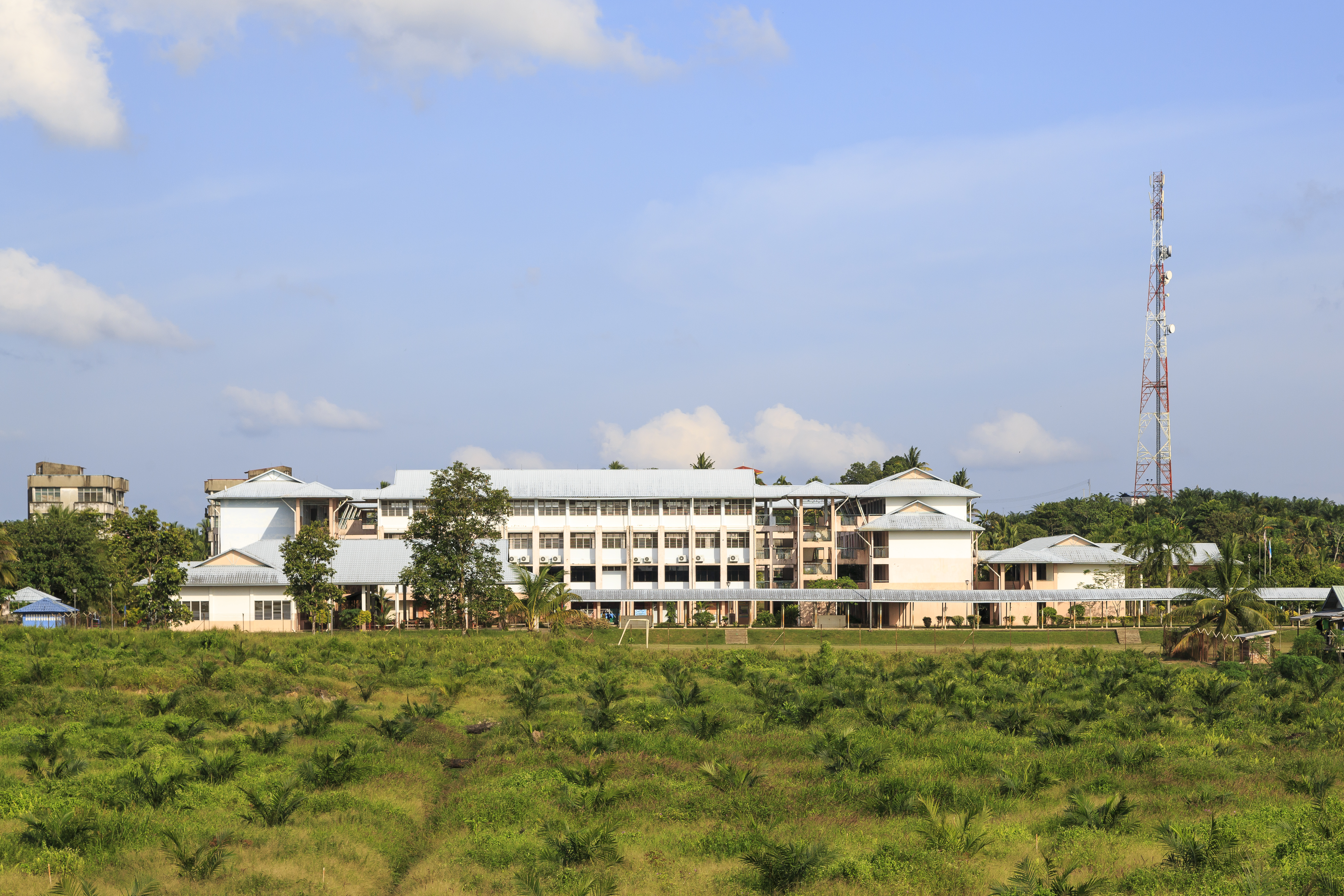 Kota-Pamol Sabah SK-Pamol-02