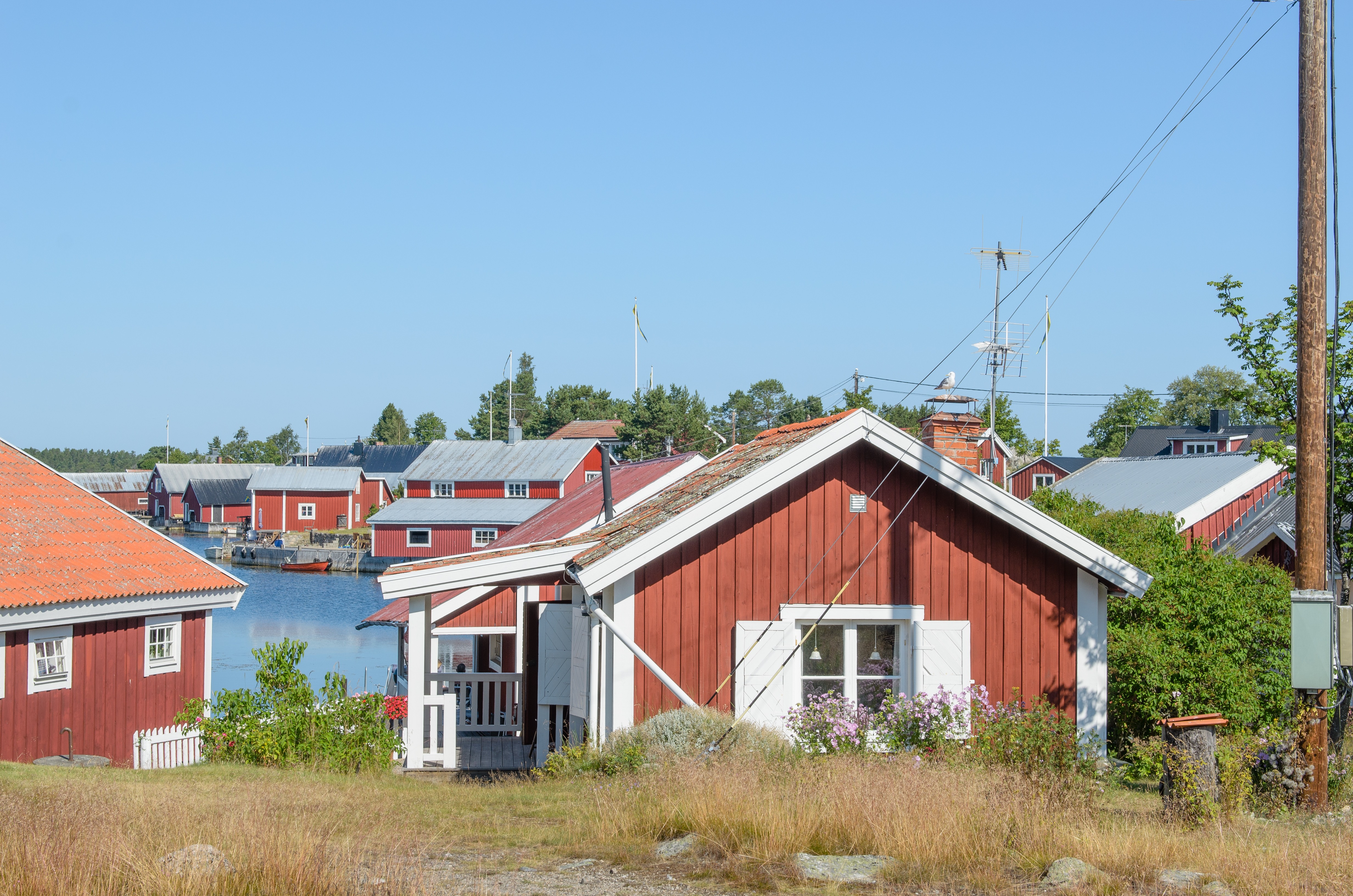 Kuggörarna July 2014 14