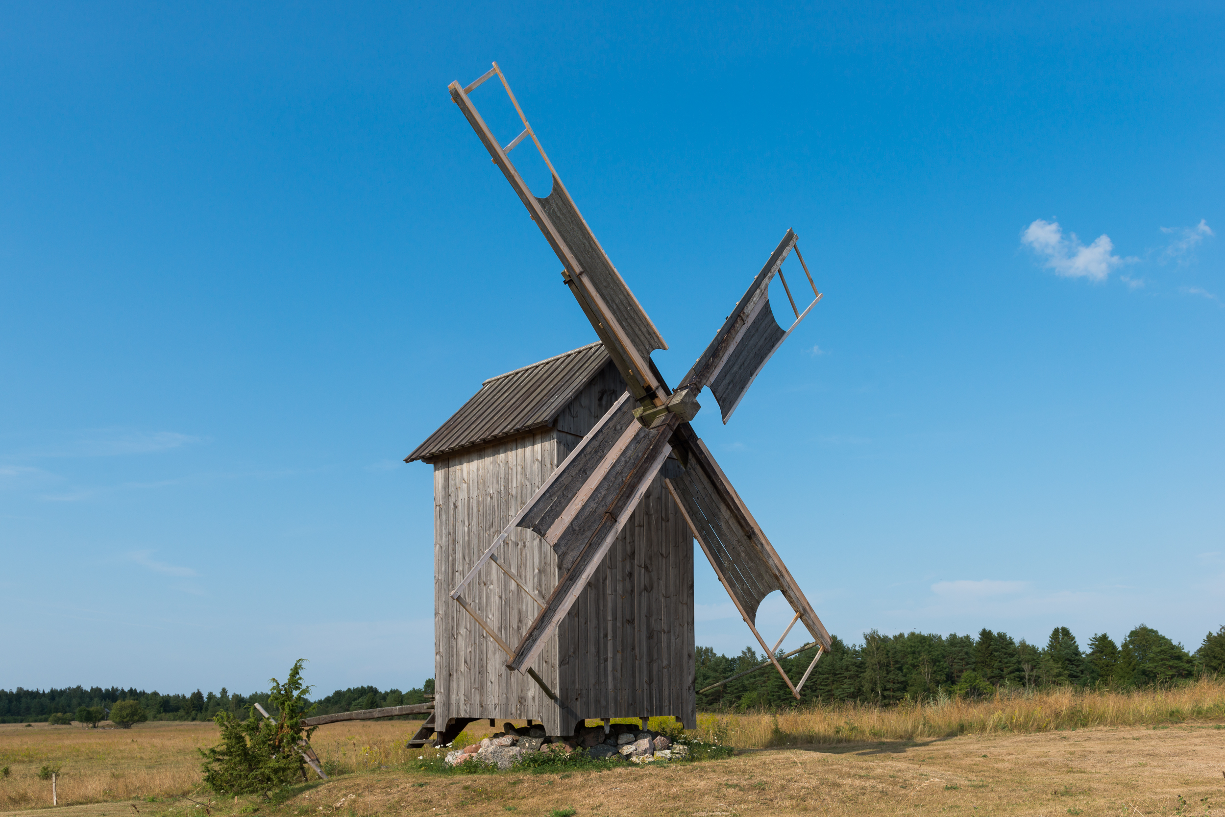 Kukka tuulik Hiiumaal